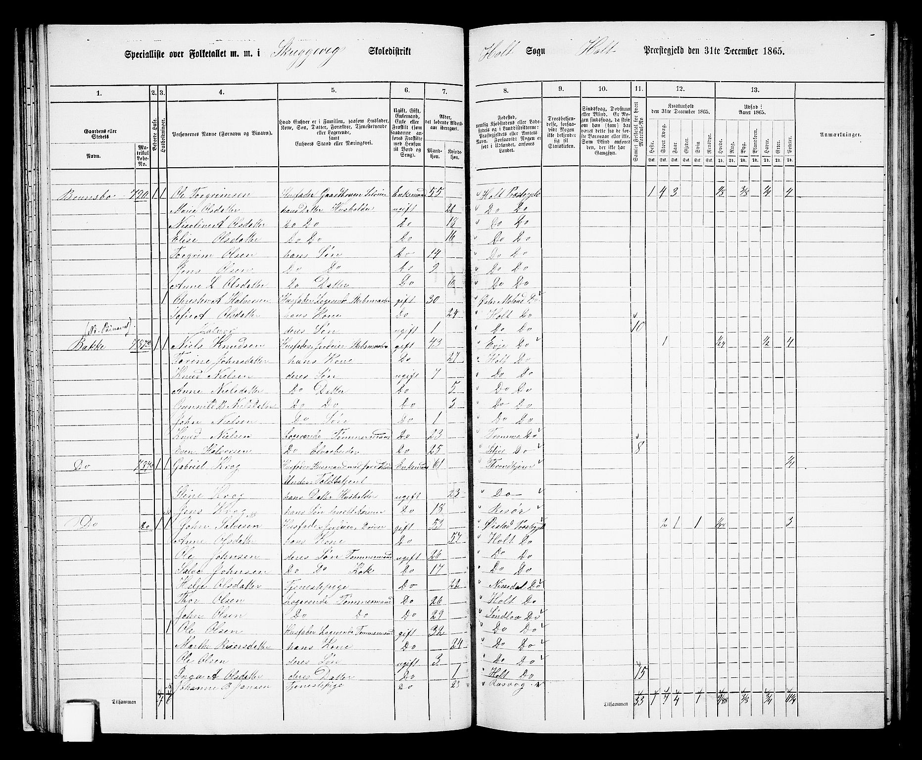 RA, 1865 census for Holt/Holt, 1865, p. 34