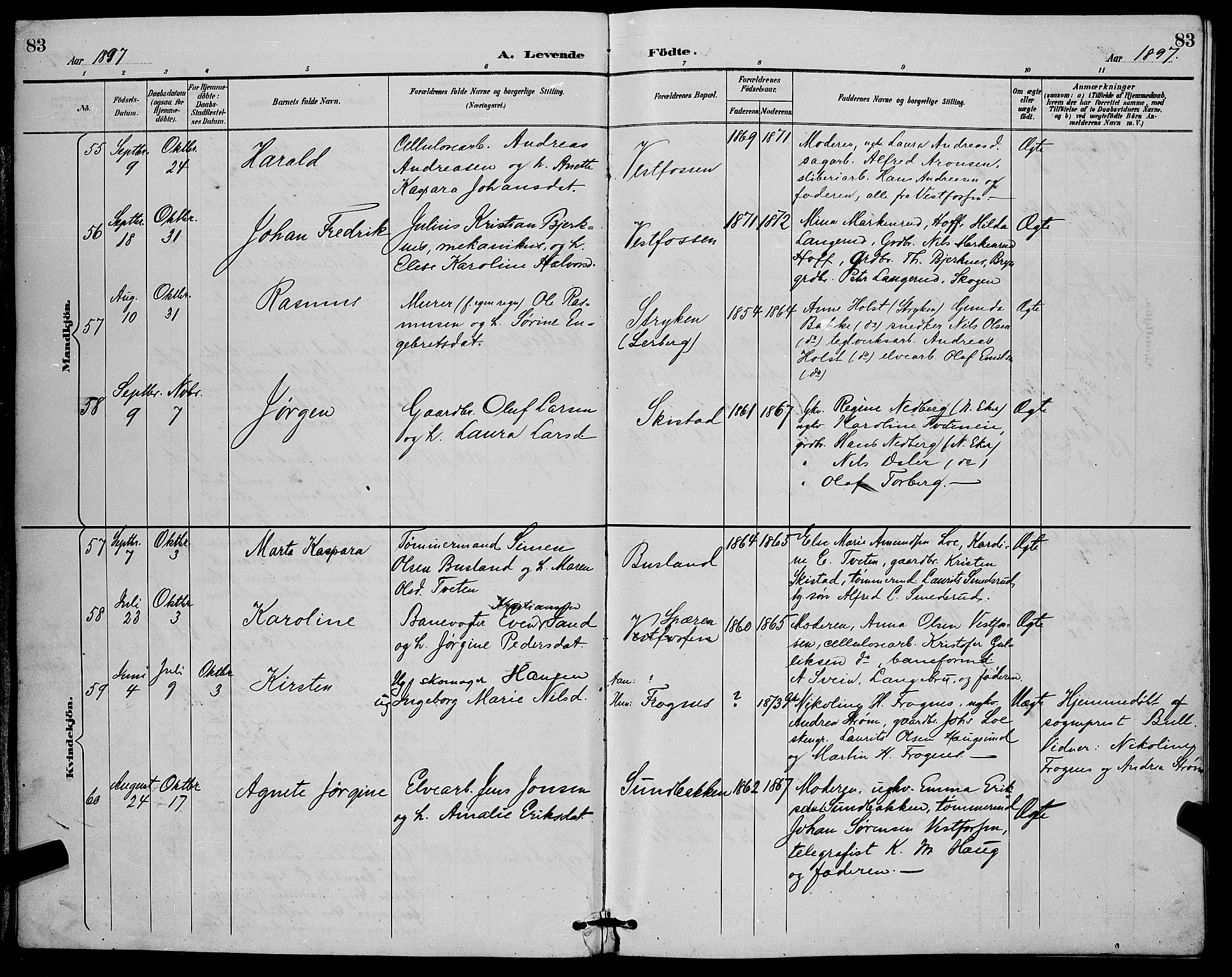 Eiker kirkebøker, AV/SAKO-A-4/G/Ga/L0007: Parish register (copy) no. I 7, 1893-1902, p. 83