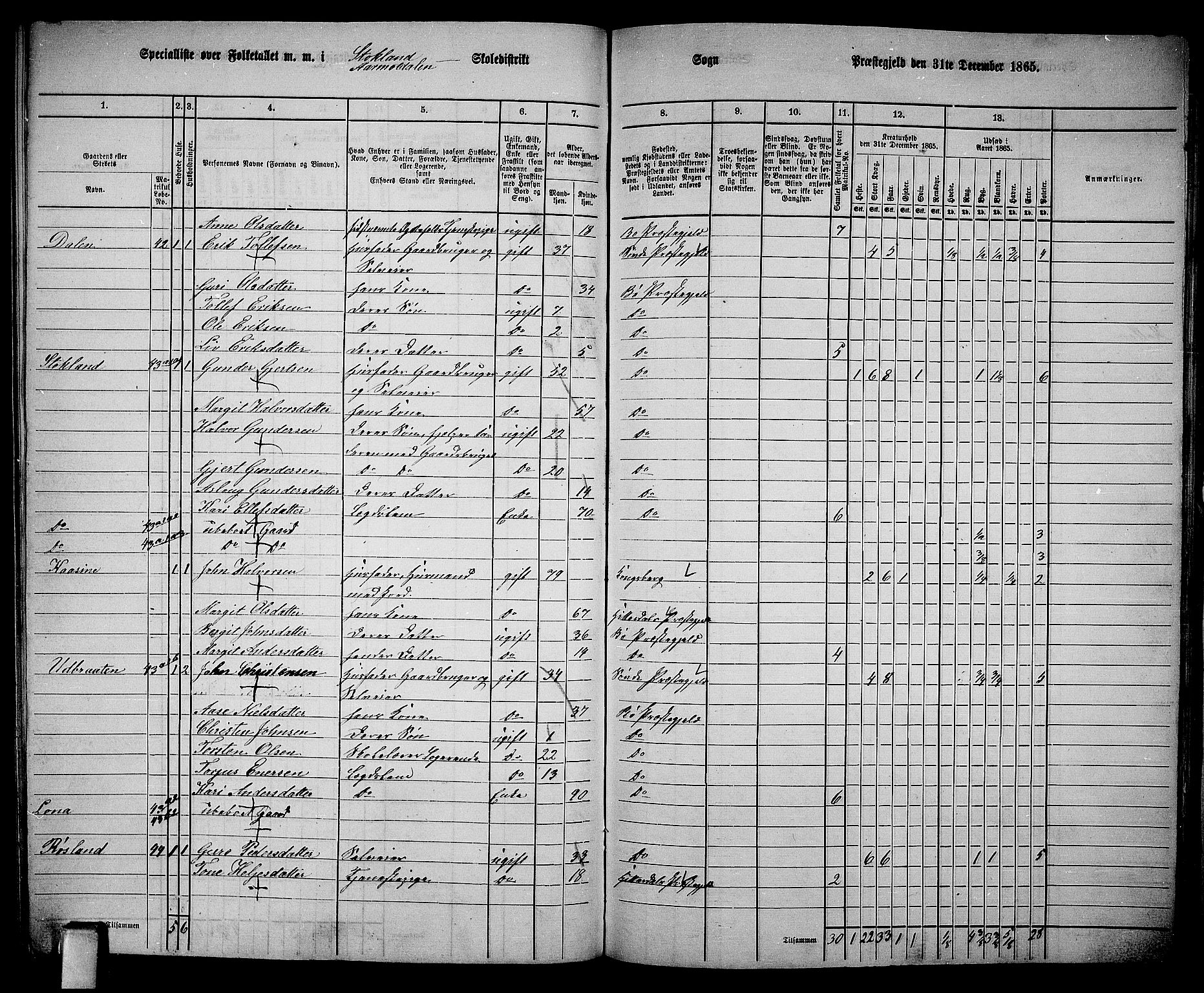 RA, 1865 census for Bø, 1865, p. 191