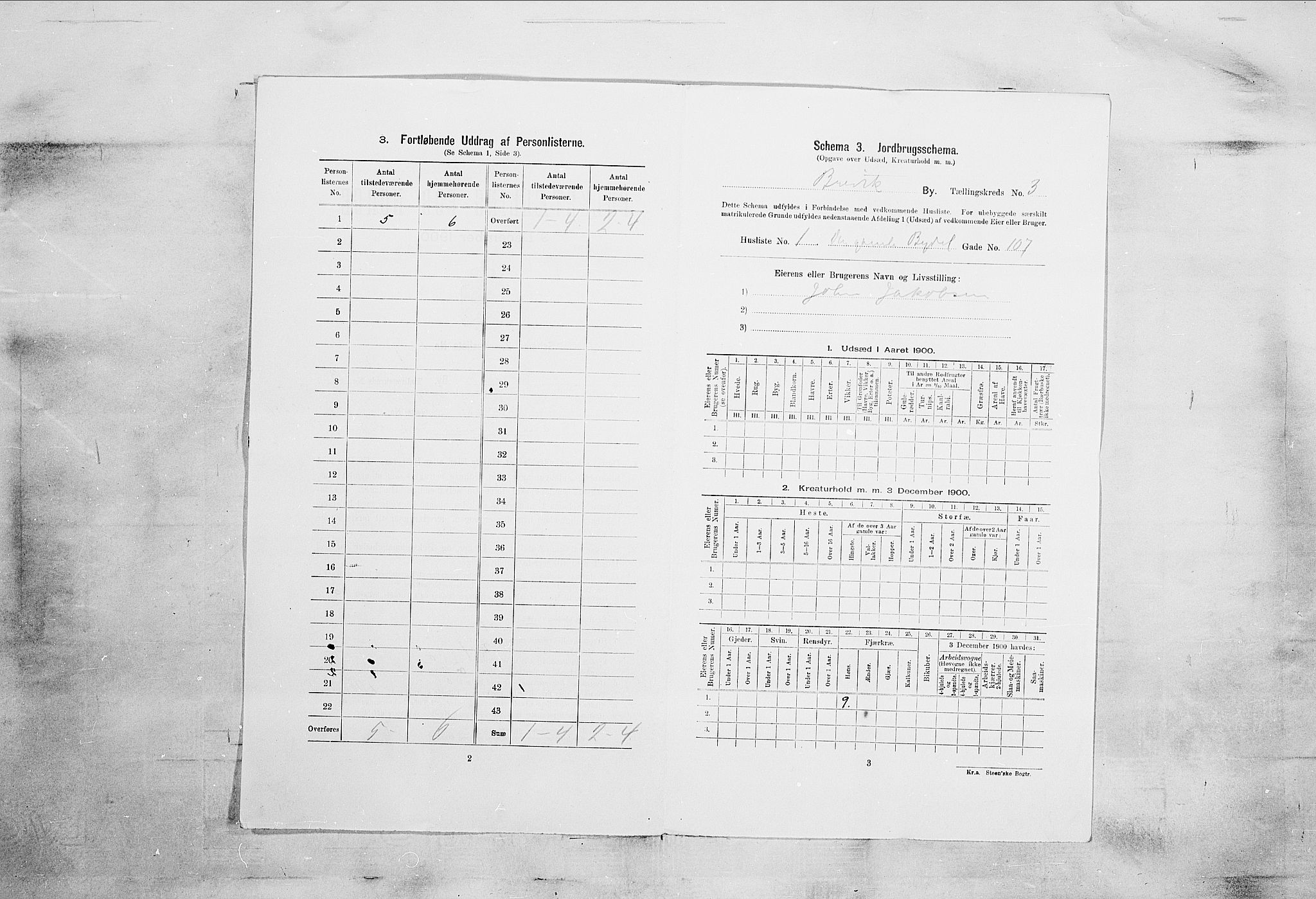 SAKO, 1900 census for Brevik, 1900, p. 700