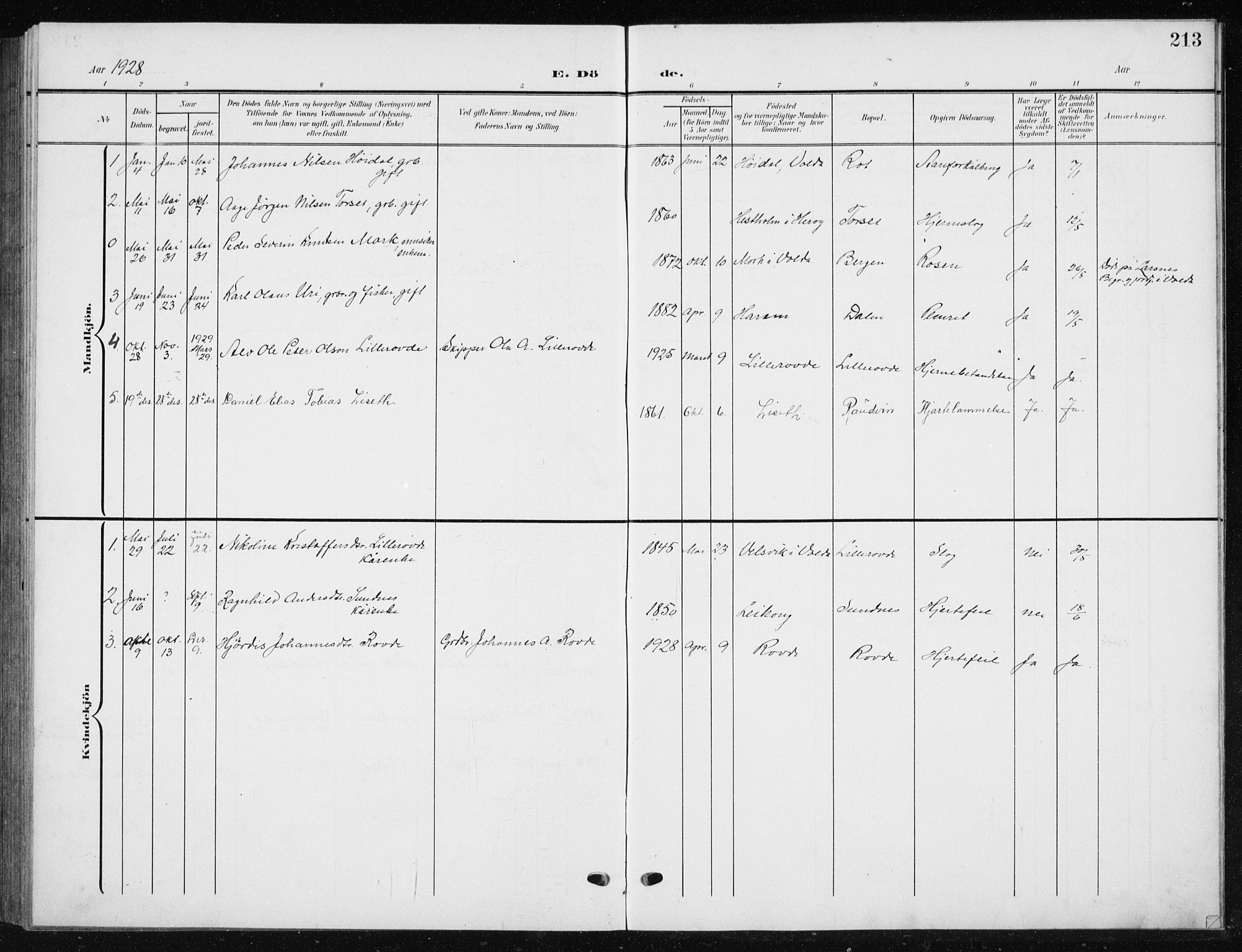 Ministerialprotokoller, klokkerbøker og fødselsregistre - Møre og Romsdal, AV/SAT-A-1454/504/L0061: Parish register (copy) no. 504C03, 1902-1940, p. 213