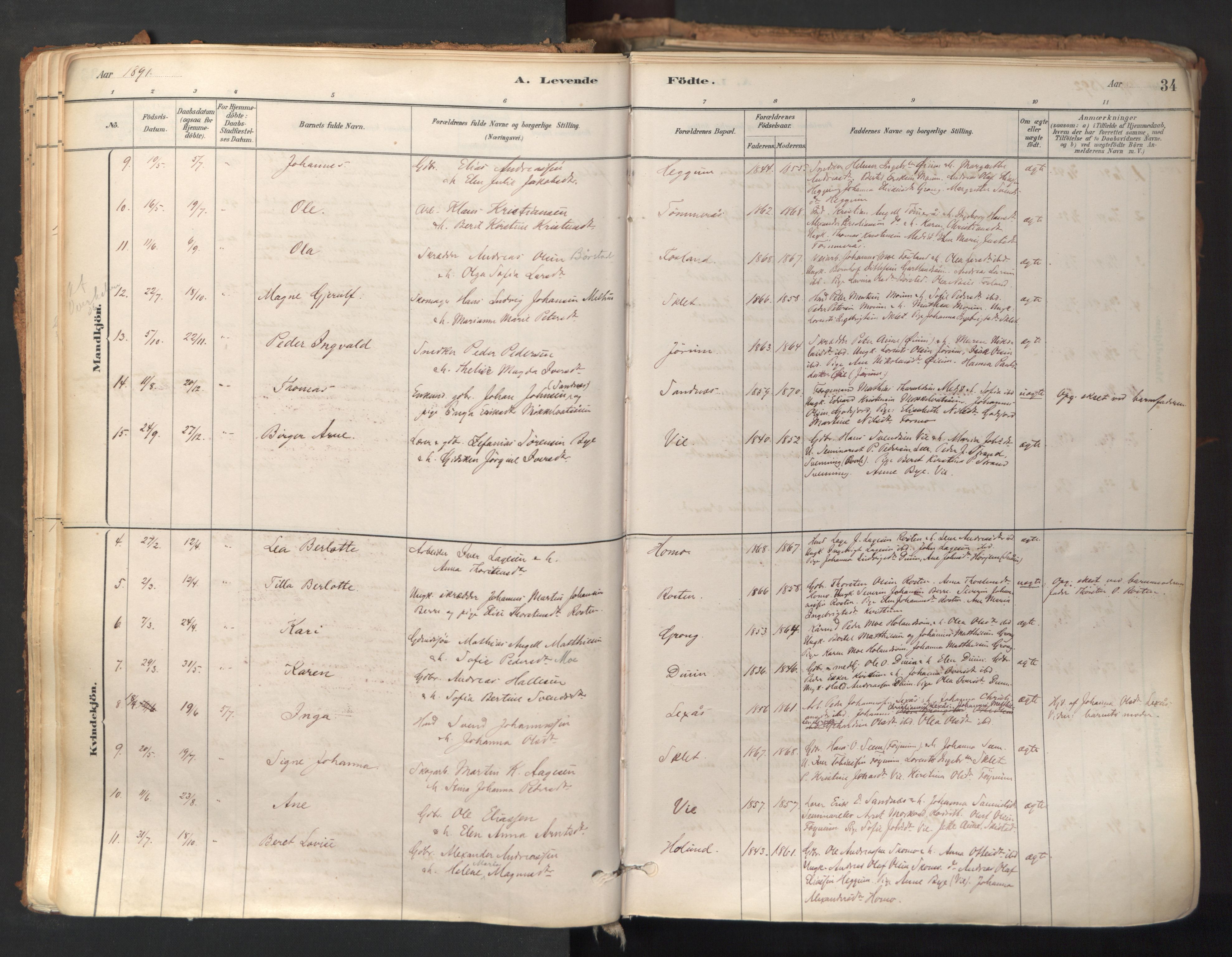 Ministerialprotokoller, klokkerbøker og fødselsregistre - Nord-Trøndelag, SAT/A-1458/758/L0519: Parish register (official) no. 758A04, 1880-1926, p. 34
