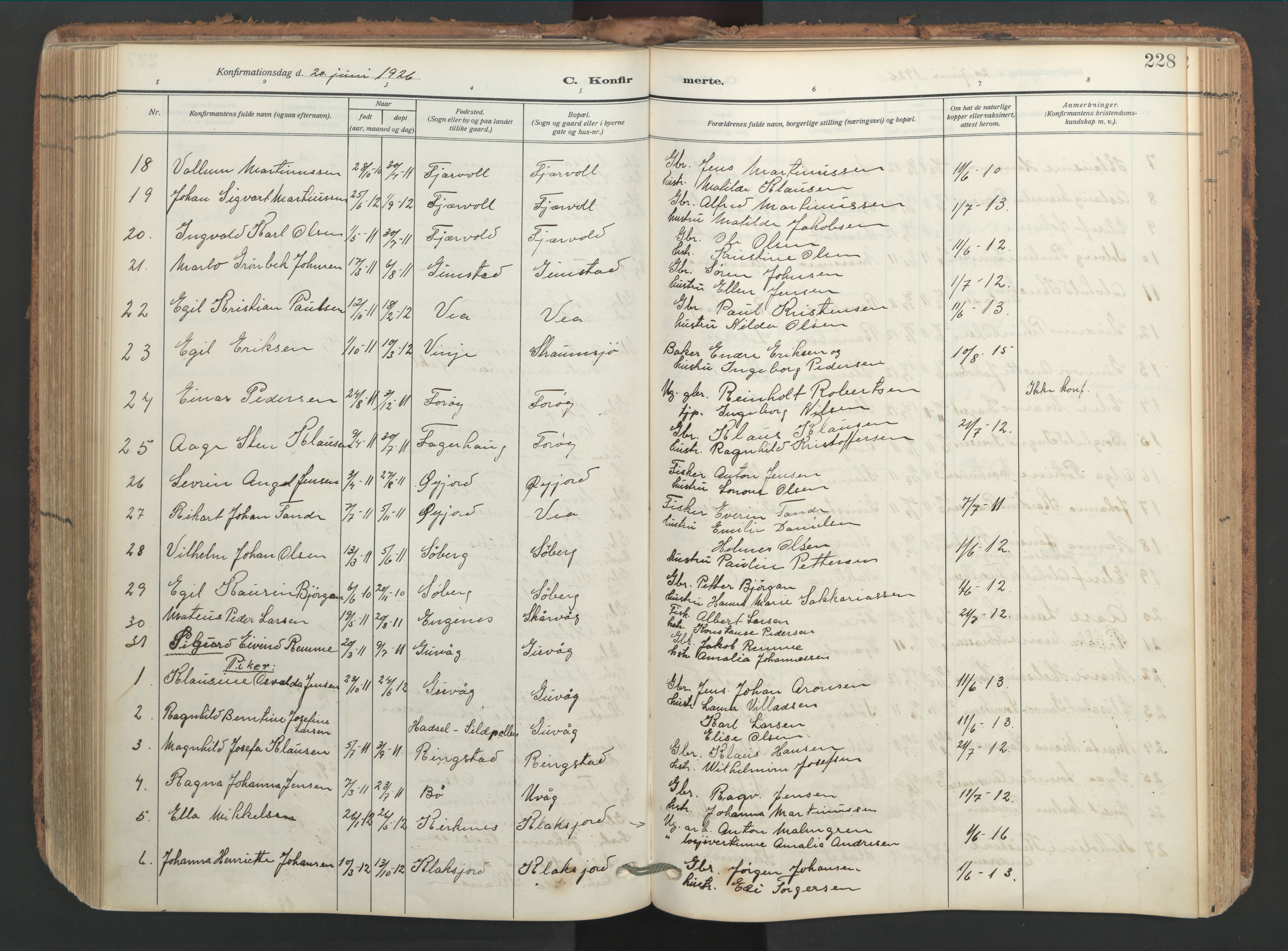 Ministerialprotokoller, klokkerbøker og fødselsregistre - Nordland, AV/SAT-A-1459/891/L1306: Parish register (official) no. 891A11, 1911-1927, p. 228