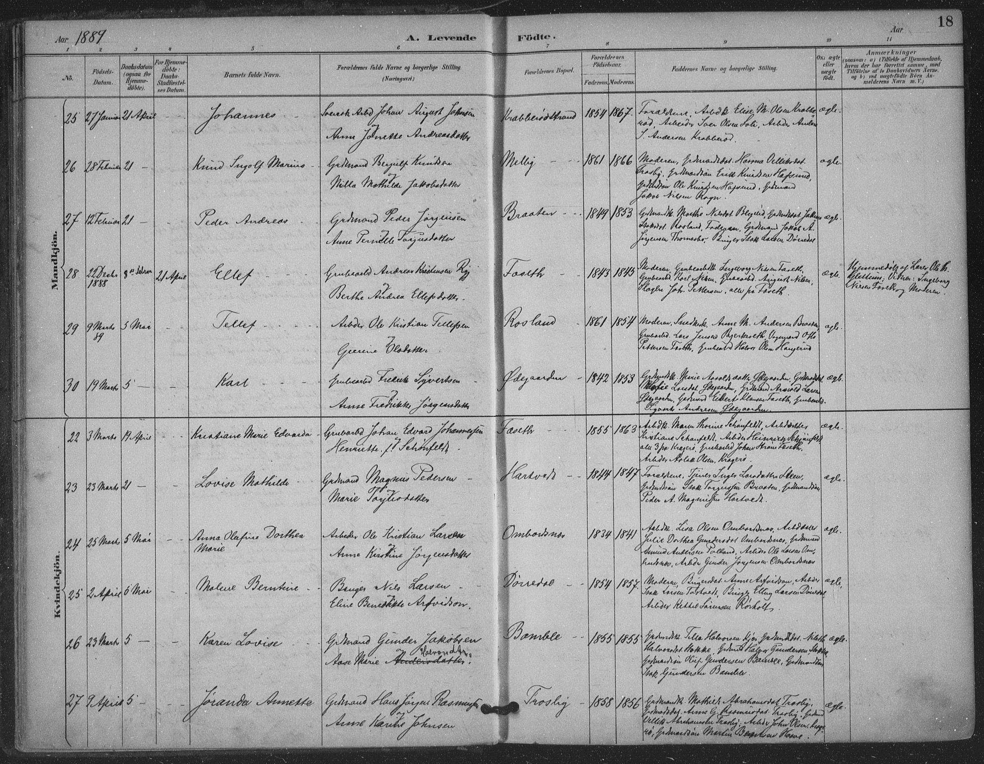 Bamble kirkebøker, AV/SAKO-A-253/F/Fa/L0008: Parish register (official) no. I 8, 1888-1900, p. 18