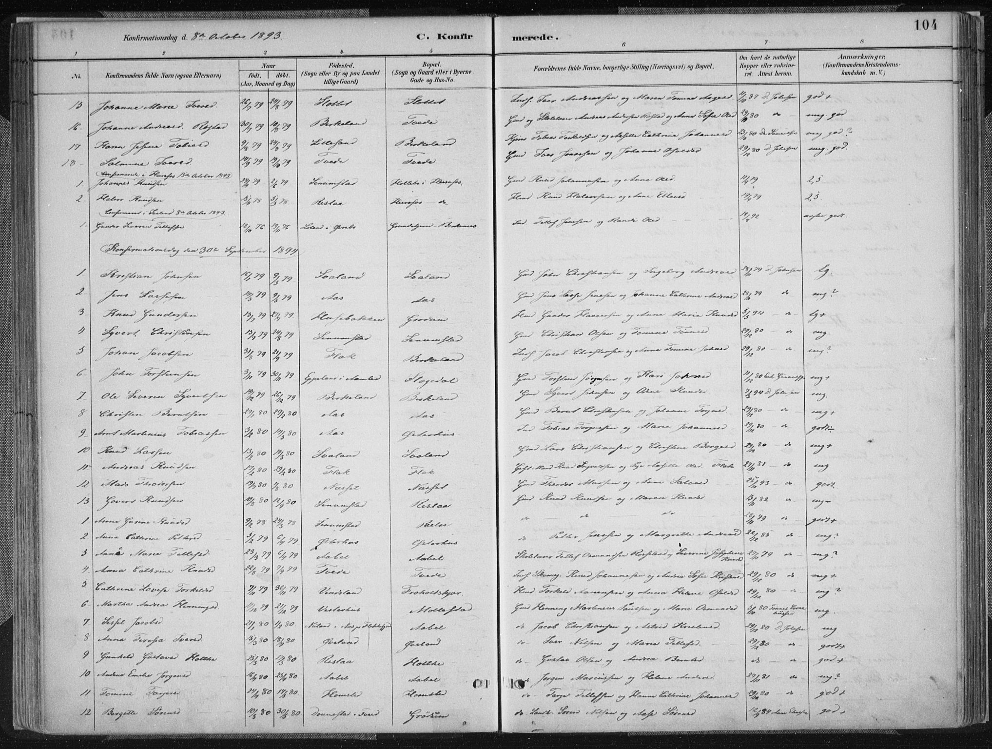 Birkenes sokneprestkontor, SAK/1111-0004/F/Fa/L0005: Parish register (official) no. A 5, 1887-1907, p. 104