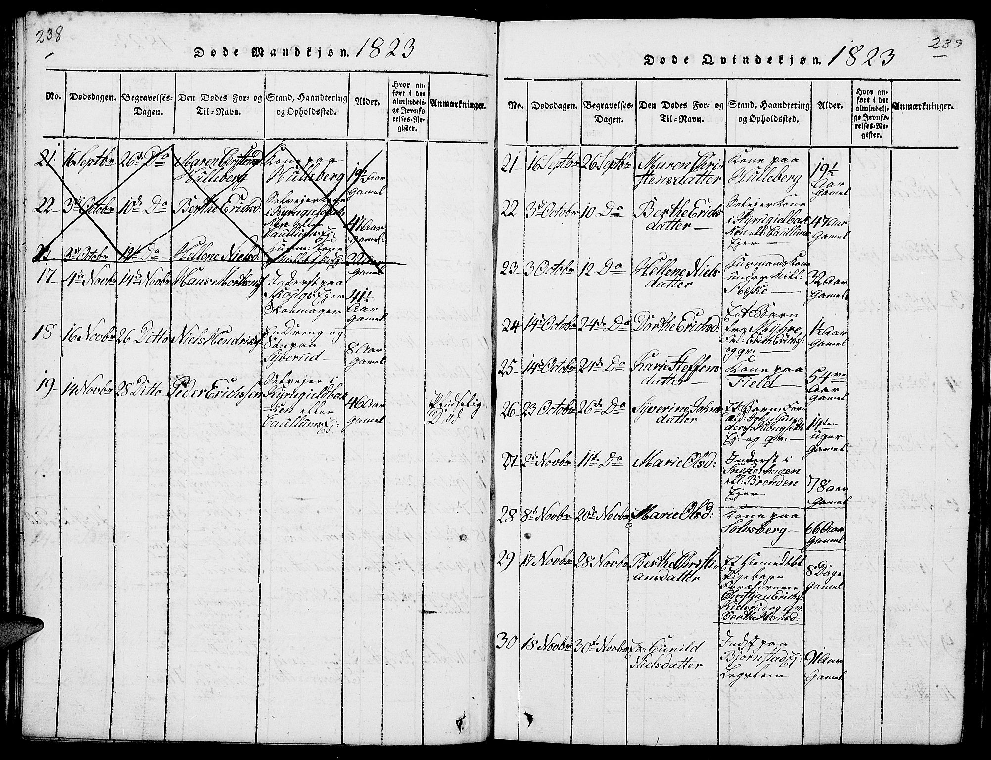 Nes prestekontor, Hedmark, AV/SAH-PREST-020/L/La/L0003: Parish register (copy) no. 3, 1814-1831, p. 238-239