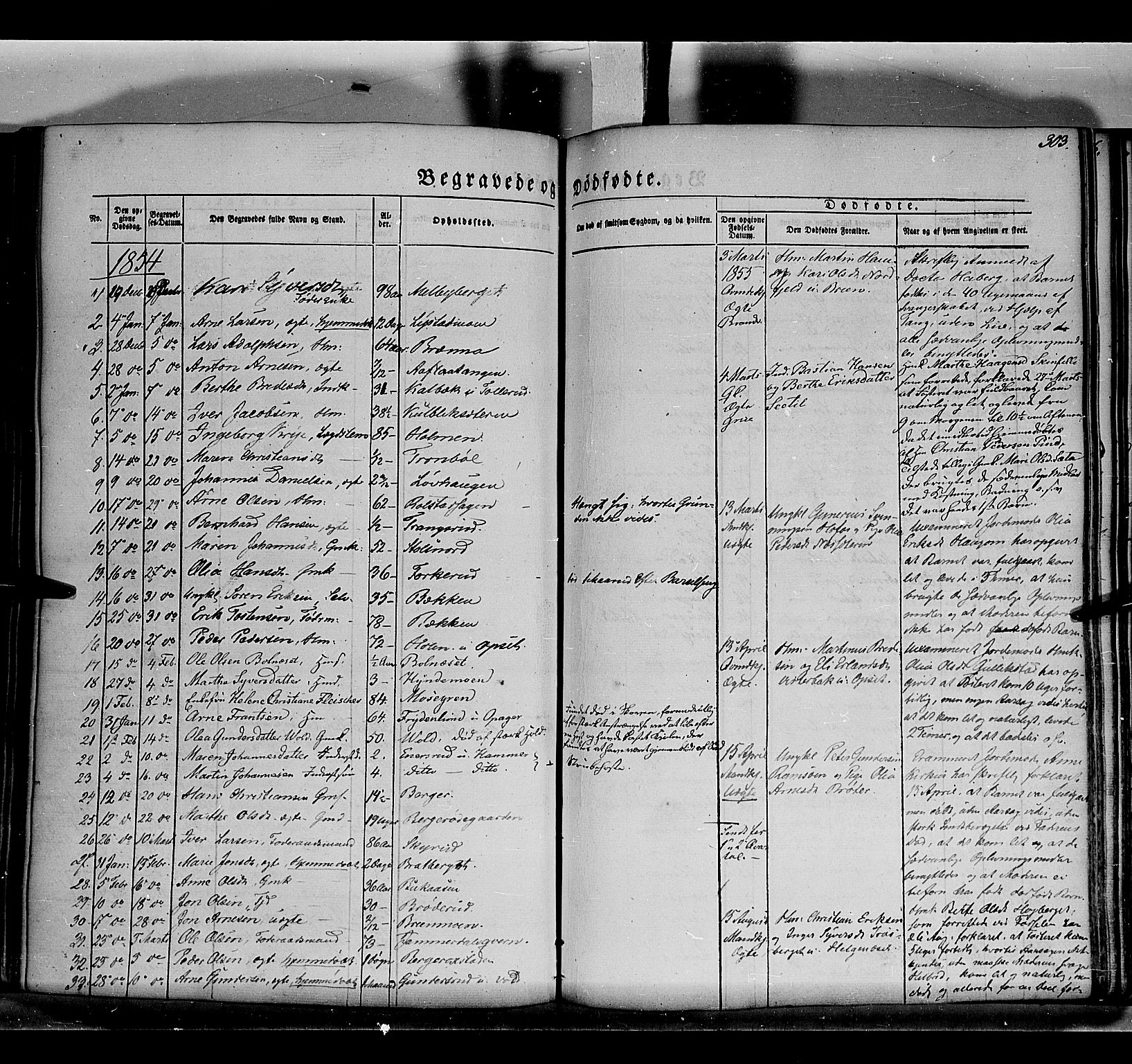 Grue prestekontor, AV/SAH-PREST-036/H/Ha/Haa/L0008: Parish register (official) no. 8, 1847-1858, p. 303