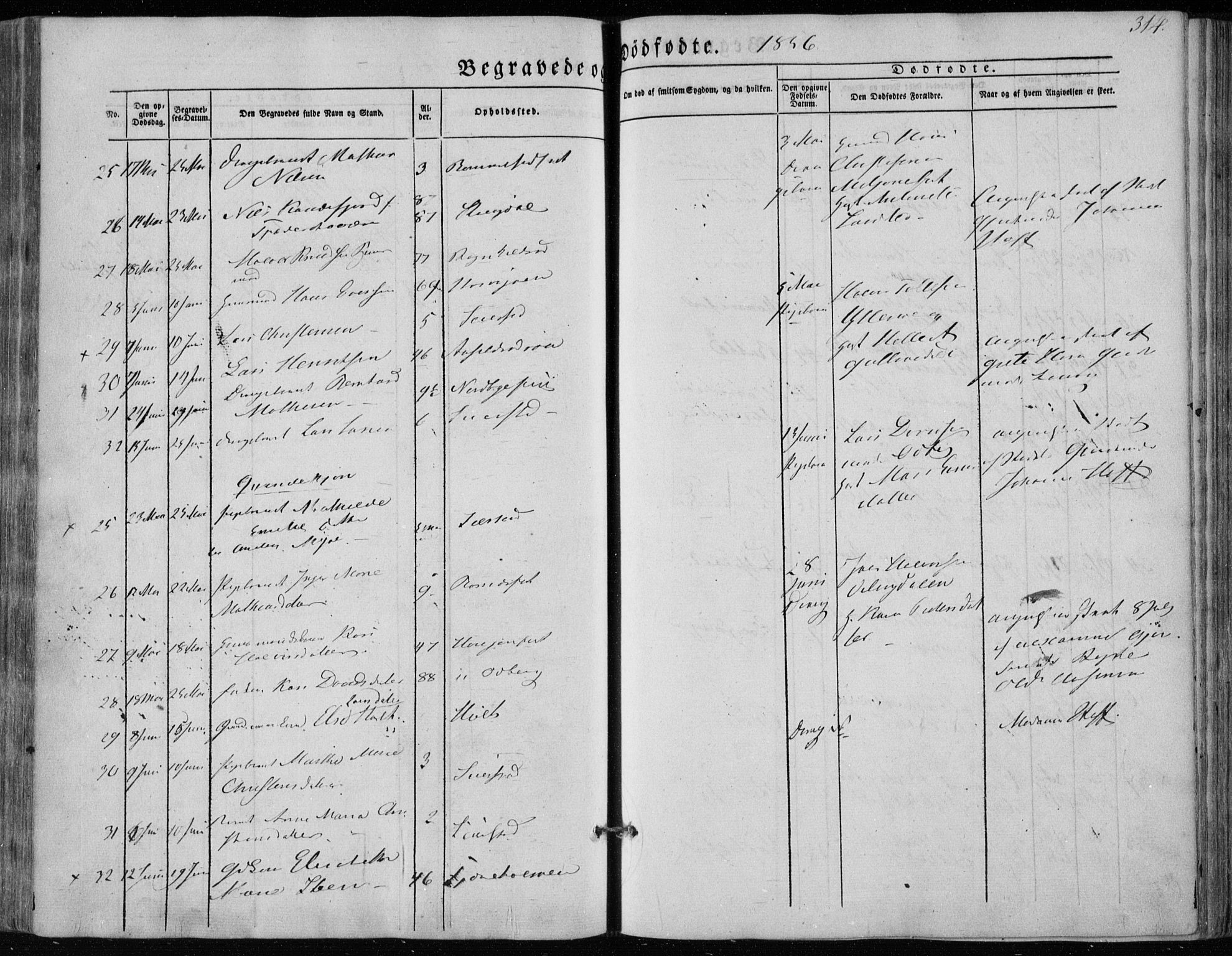 Hedrum kirkebøker, AV/SAKO-A-344/F/Fa/L0006: Parish register (official) no. I 6, 1849-1857, p. 314