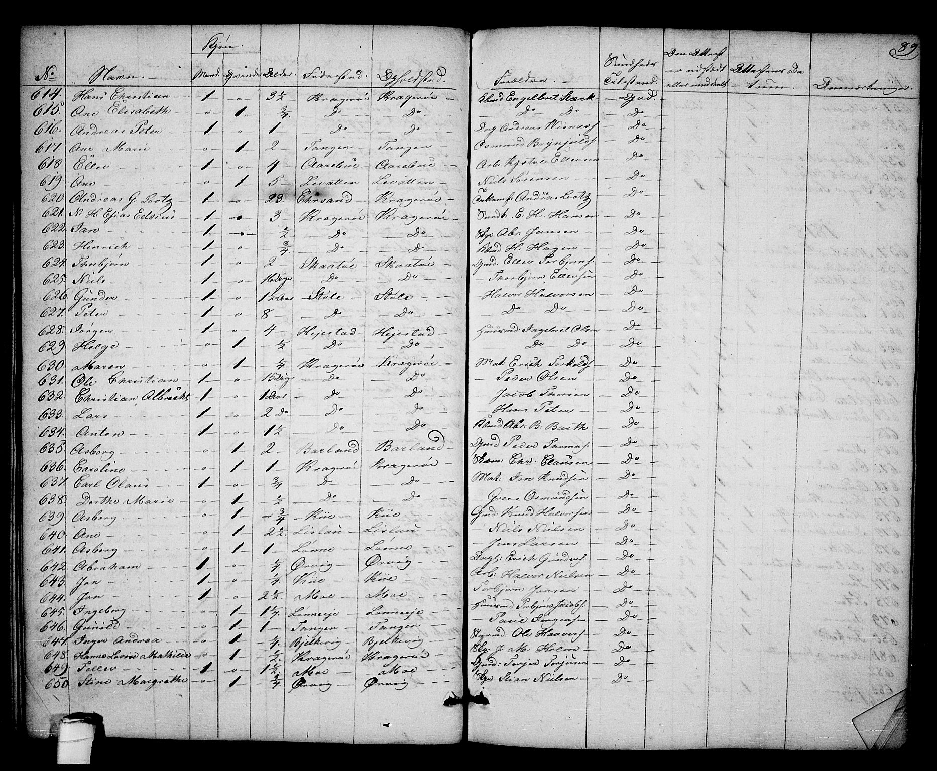 Kragerø kirkebøker, AV/SAKO-A-278/F/Fa/L0003: Parish register (official) no. 3, 1802-1813, p. 89