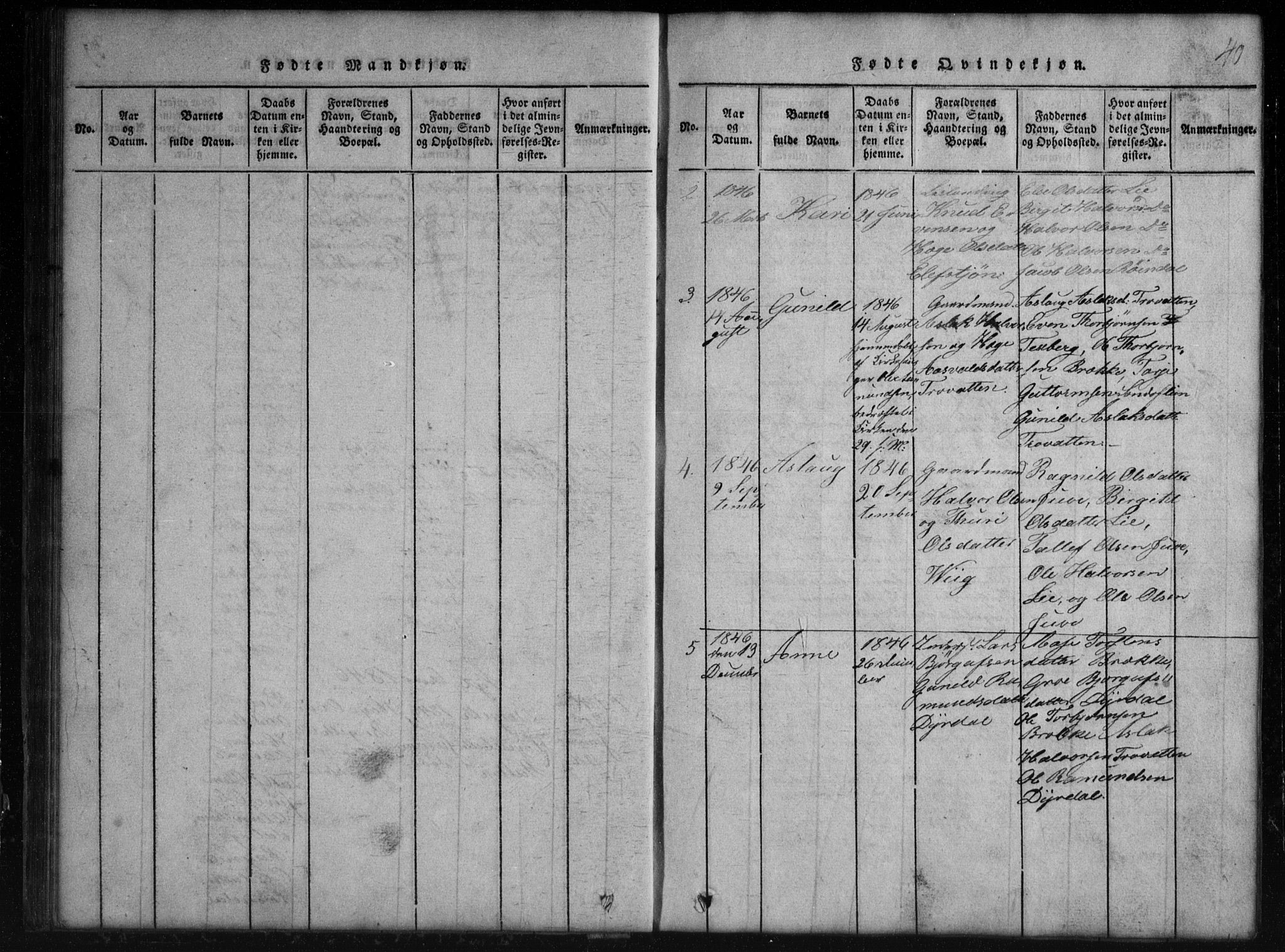 Rauland kirkebøker, SAKO/A-292/G/Gb/L0001: Parish register (copy) no. II 1, 1815-1886, p. 40