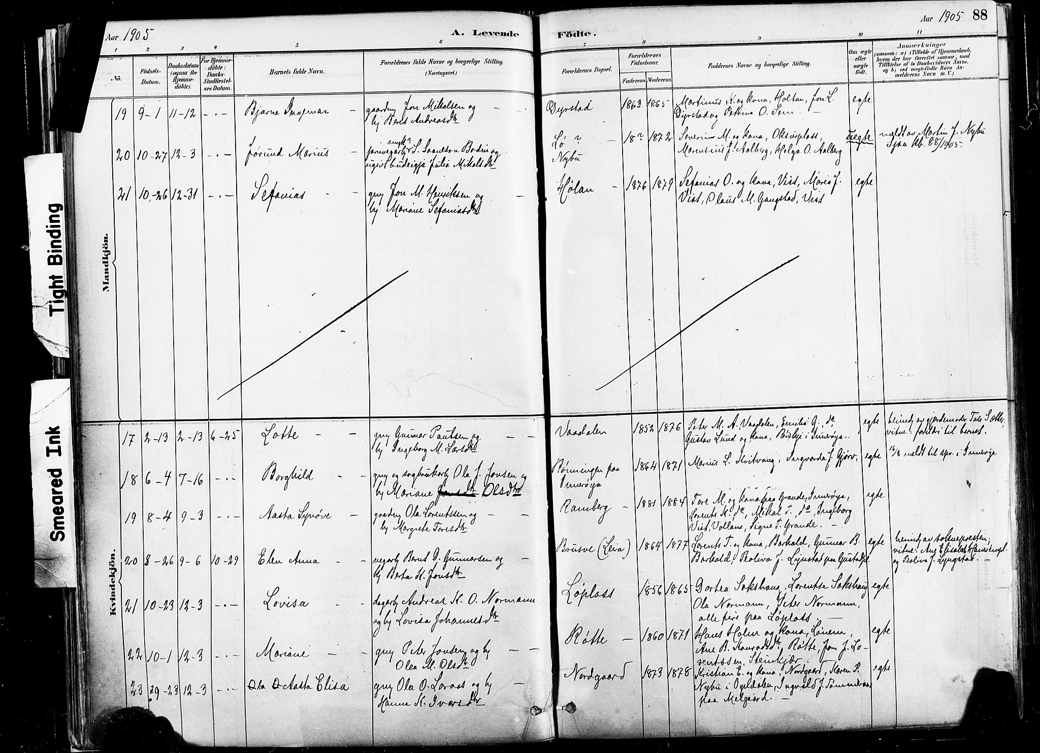 Ministerialprotokoller, klokkerbøker og fødselsregistre - Nord-Trøndelag, AV/SAT-A-1458/735/L0351: Parish register (official) no. 735A10, 1884-1908, p. 88