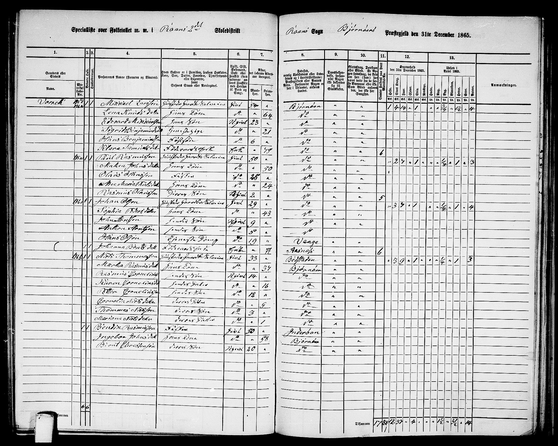 RA, 1865 census for Bjørnør, 1865, p. 111