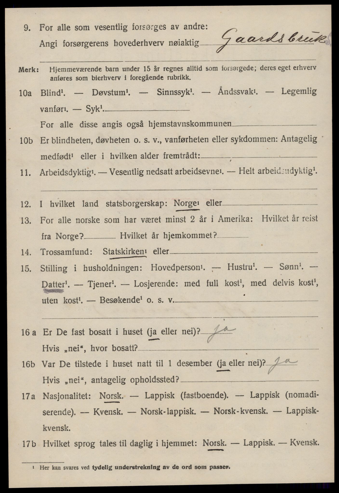 SAT, 1920 census for Hemne, 1920, p. 1251