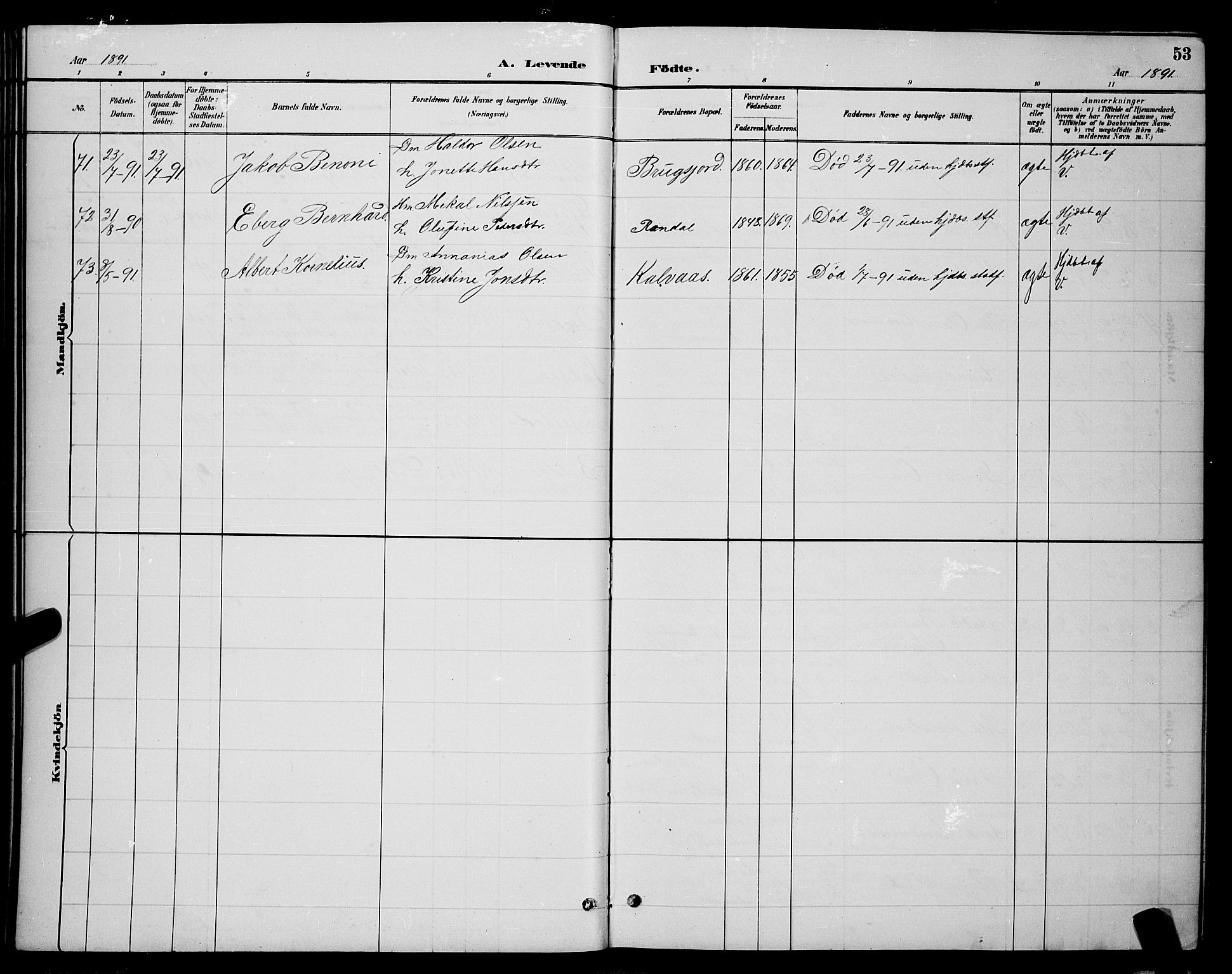 Ministerialprotokoller, klokkerbøker og fødselsregistre - Nordland, AV/SAT-A-1459/863/L0914: Parish register (copy) no. 863C04, 1886-1897, p. 53