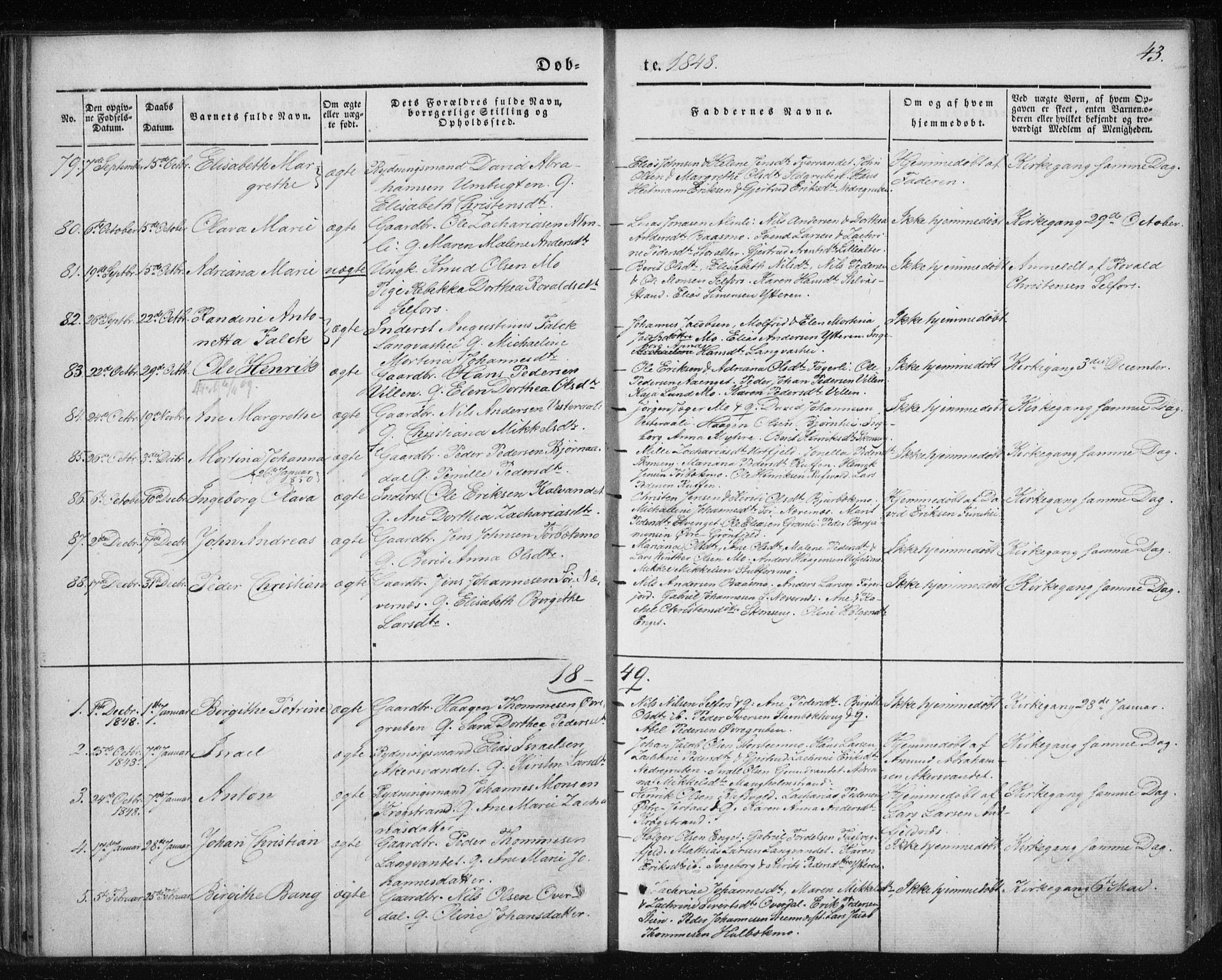 Ministerialprotokoller, klokkerbøker og fødselsregistre - Nordland, SAT/A-1459/827/L0391: Parish register (official) no. 827A03, 1842-1852, p. 43