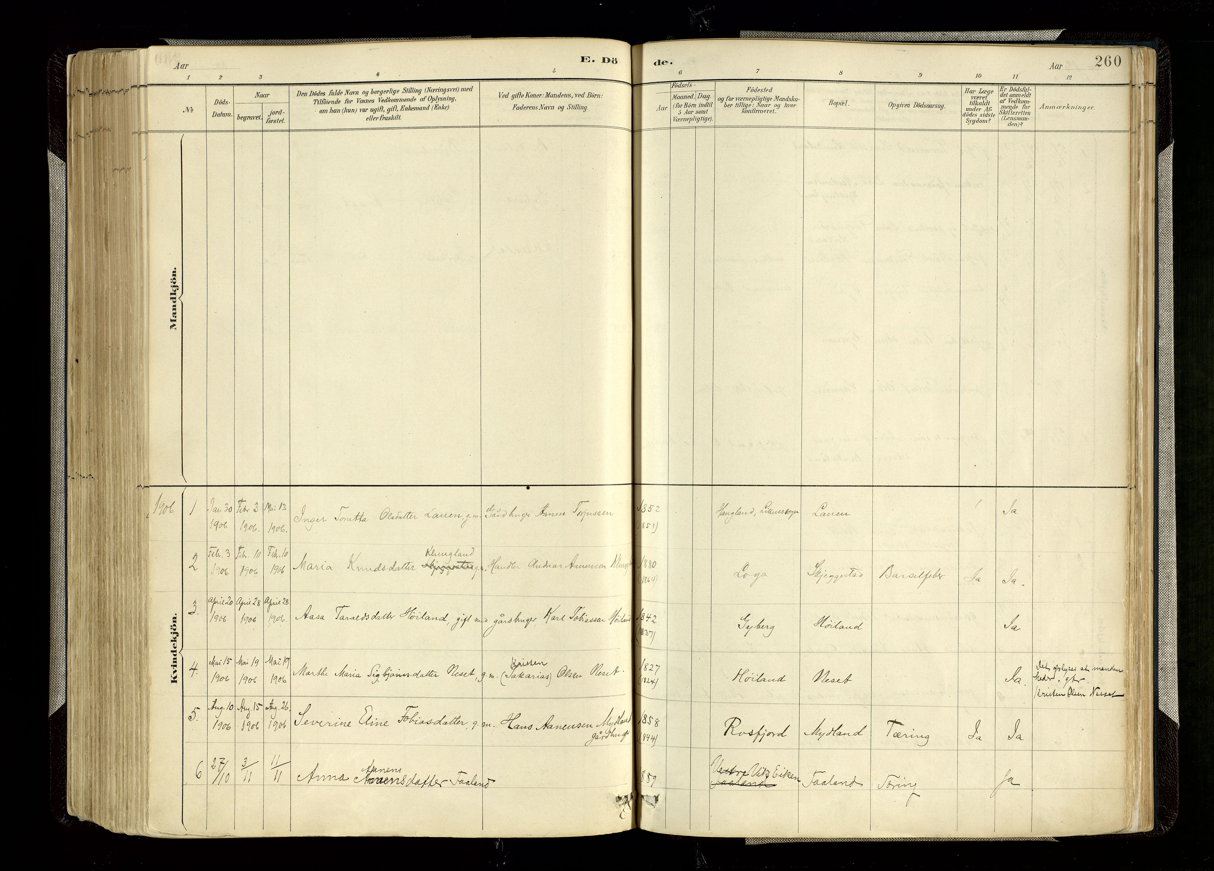 Hægebostad sokneprestkontor, SAK/1111-0024/F/Fa/Faa/L0006: Parish register (official) no. A 6, 1887-1929, p. 260
