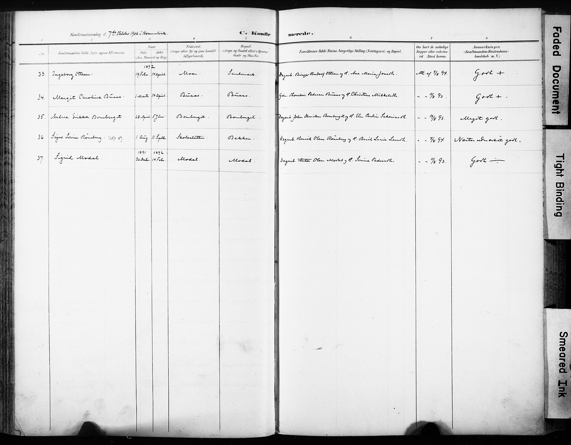 Ministerialprotokoller, klokkerbøker og fødselsregistre - Sør-Trøndelag, AV/SAT-A-1456/616/L0411: Parish register (official) no. 616A08, 1894-1906