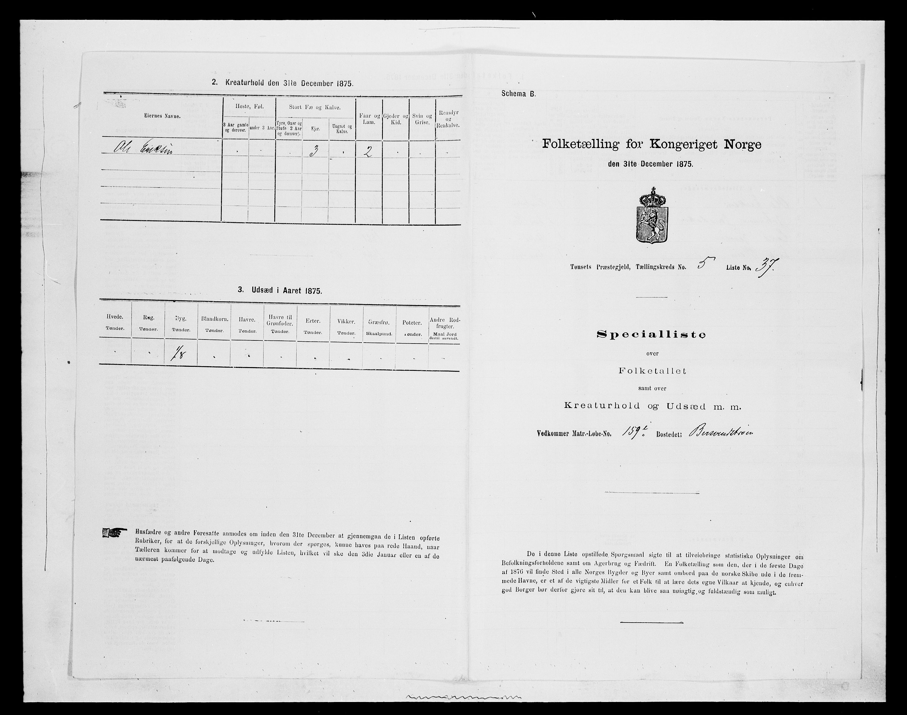 SAH, 1875 census for 0437P Tynset, 1875, p. 637