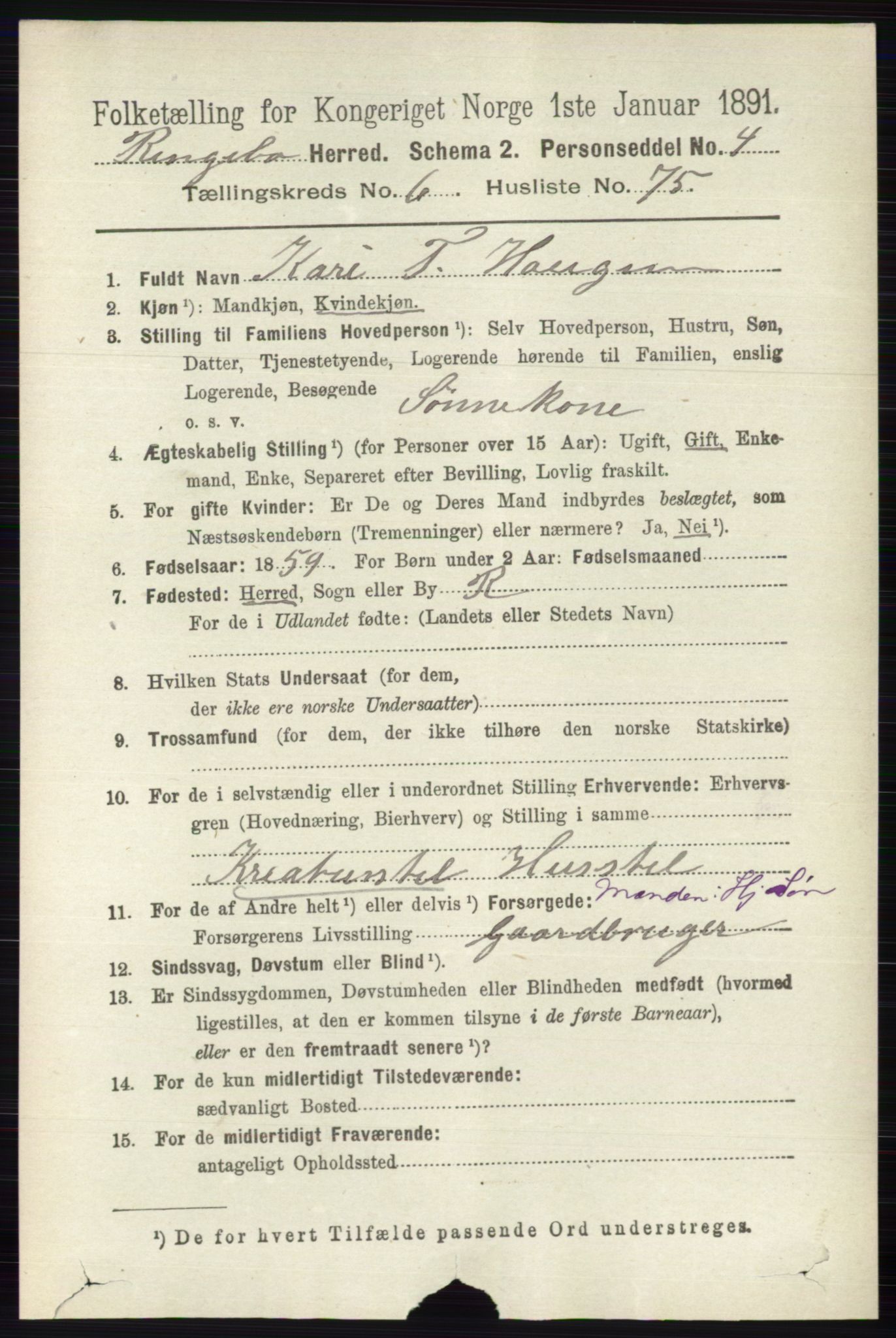 RA, 1891 census for 0520 Ringebu, 1891, p. 2914