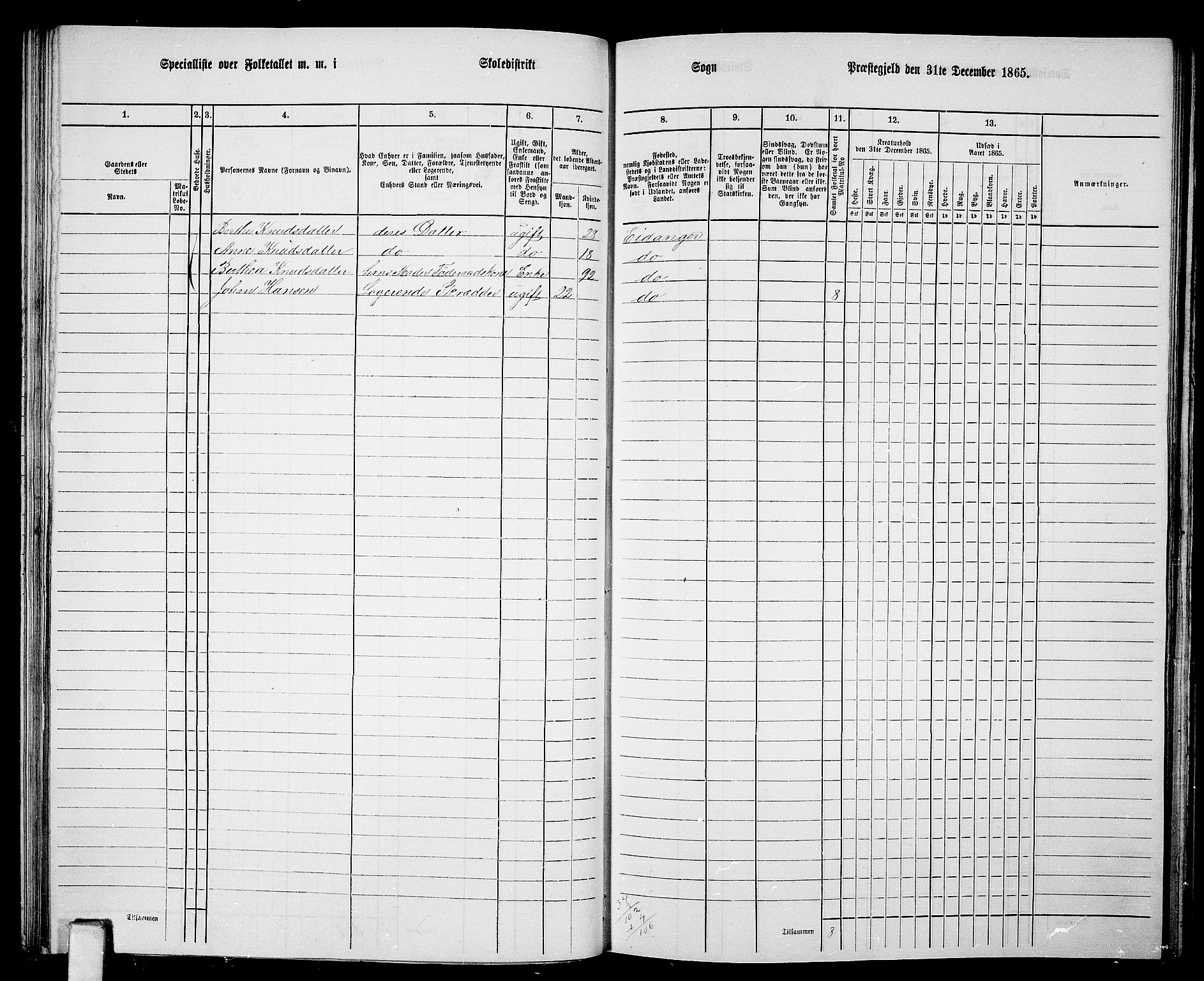 RA, 1865 census for Eidanger, 1865, p. 41