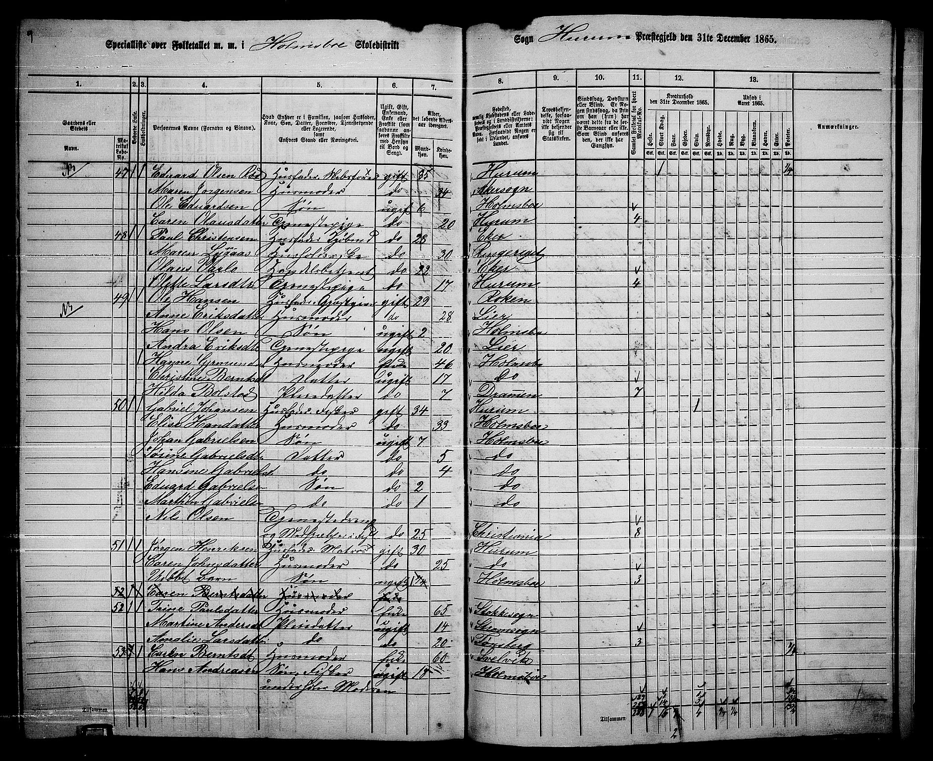 RA, 1865 census for Hurum, 1865, p. 115