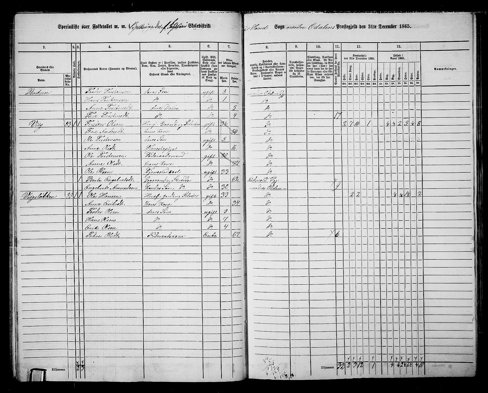 RA, 1865 census for Nord-Odal, 1865, p. 29