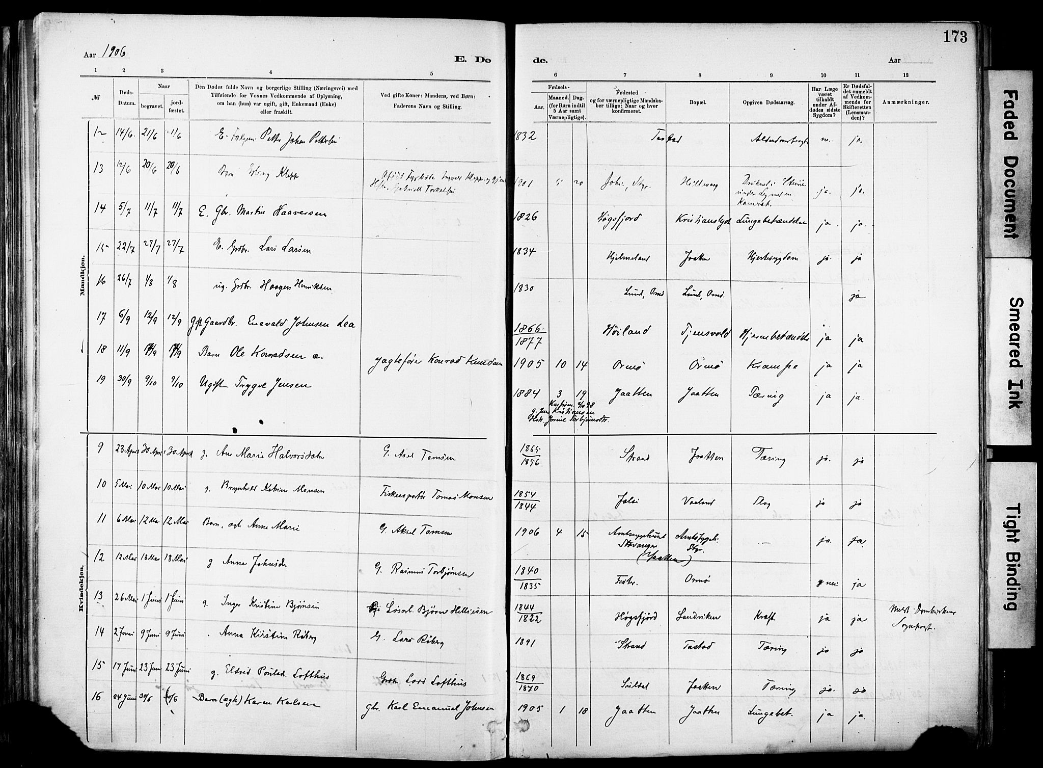 Hetland sokneprestkontor, AV/SAST-A-101826/30/30BA/L0012: Parish register (official) no. A 12, 1882-1912, p. 173