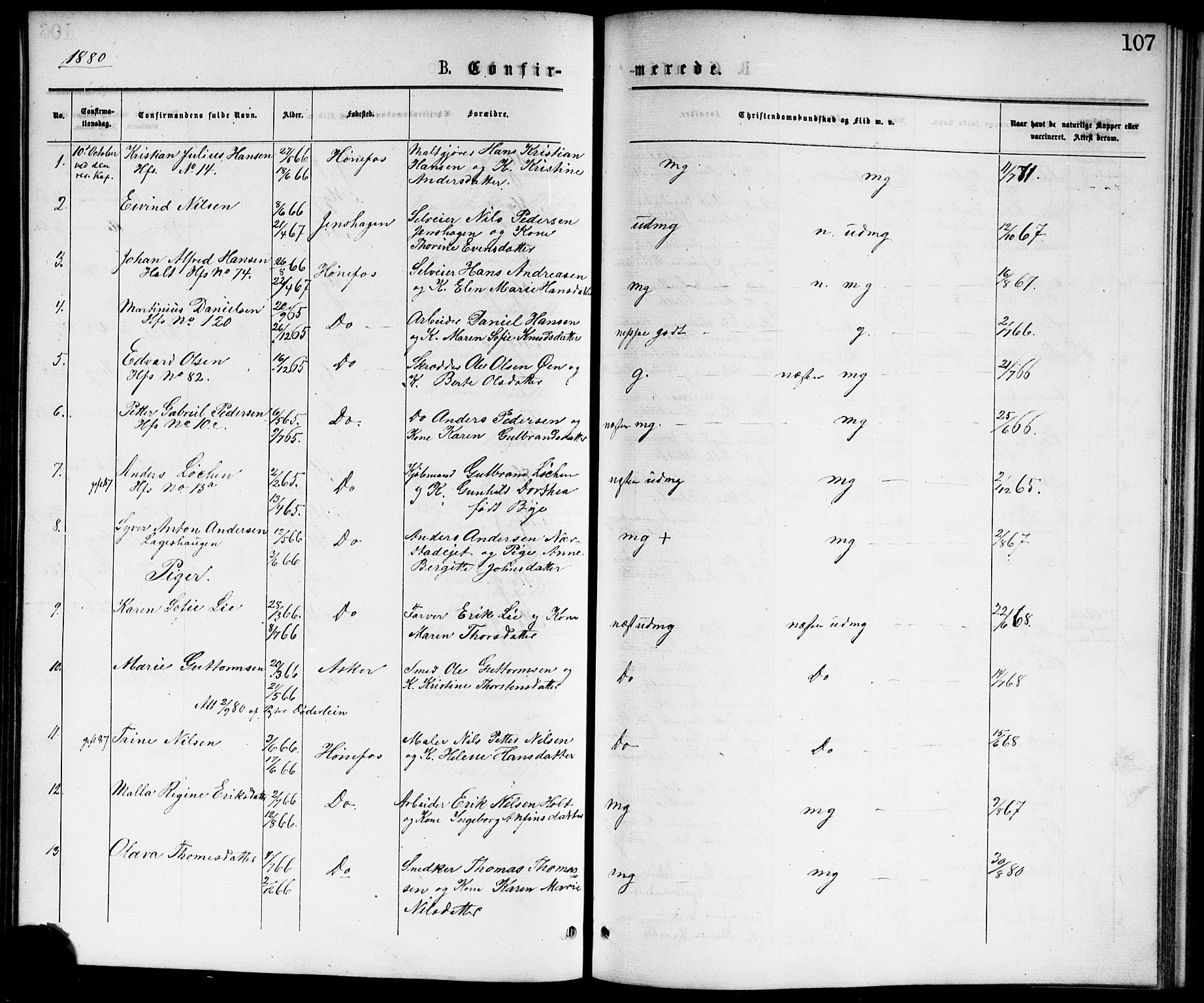 Hønefoss kirkebøker, AV/SAKO-A-609/F/Fa/L0001: Parish register (official) no. 1, 1875-1887, p. 107