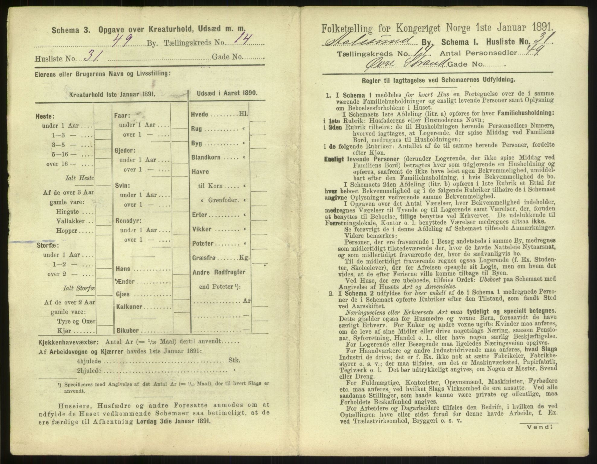 RA, 1891 census for 1501 Ålesund, 1891, p. 1018