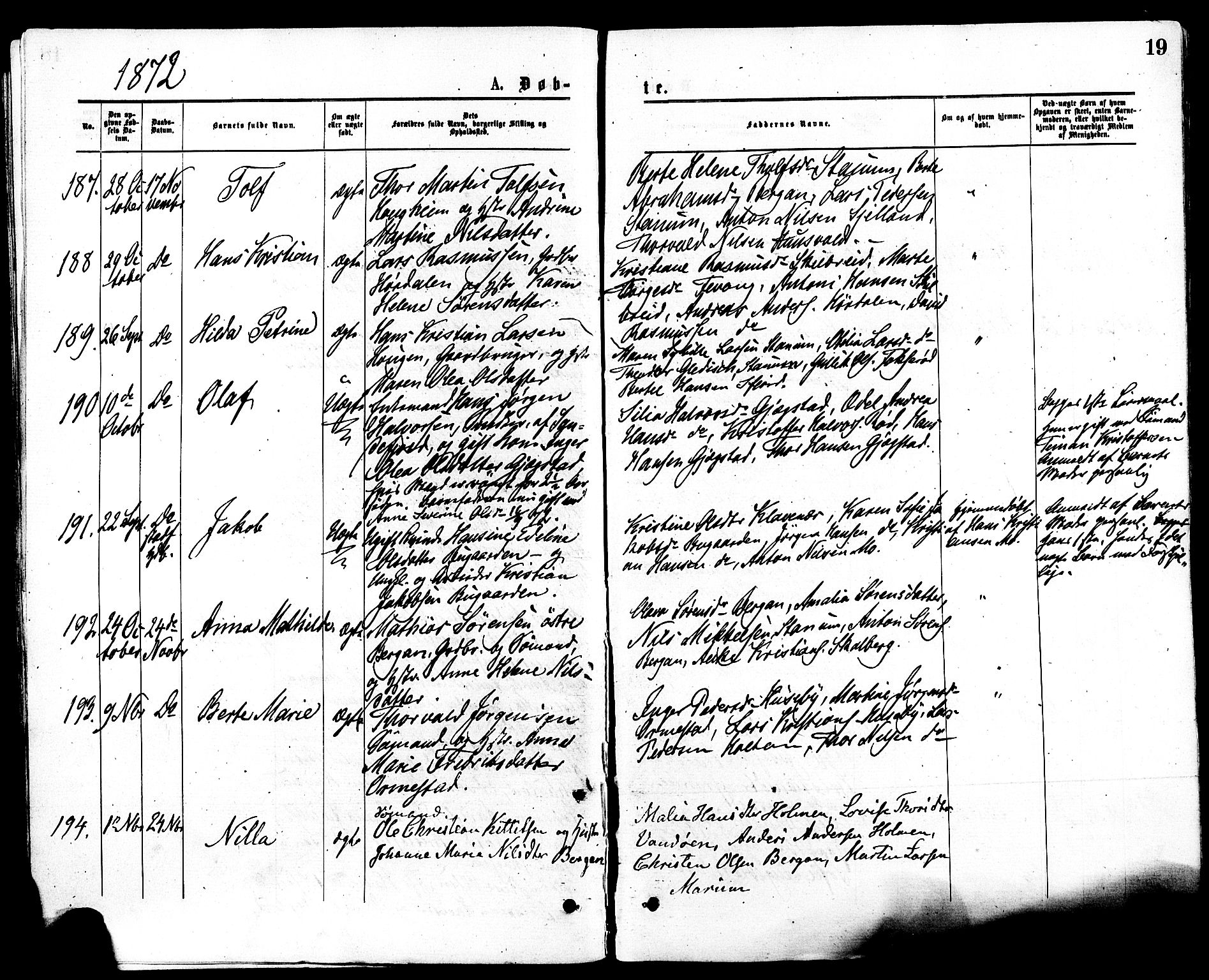 Sandar kirkebøker, SAKO/A-243/F/Fa/L0010: Parish register (official) no. 10, 1872-1882, p. 19