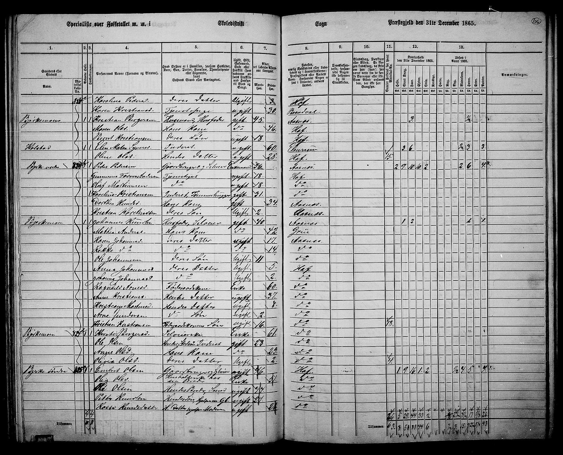 RA, 1865 census for Hof, 1865, p. 98