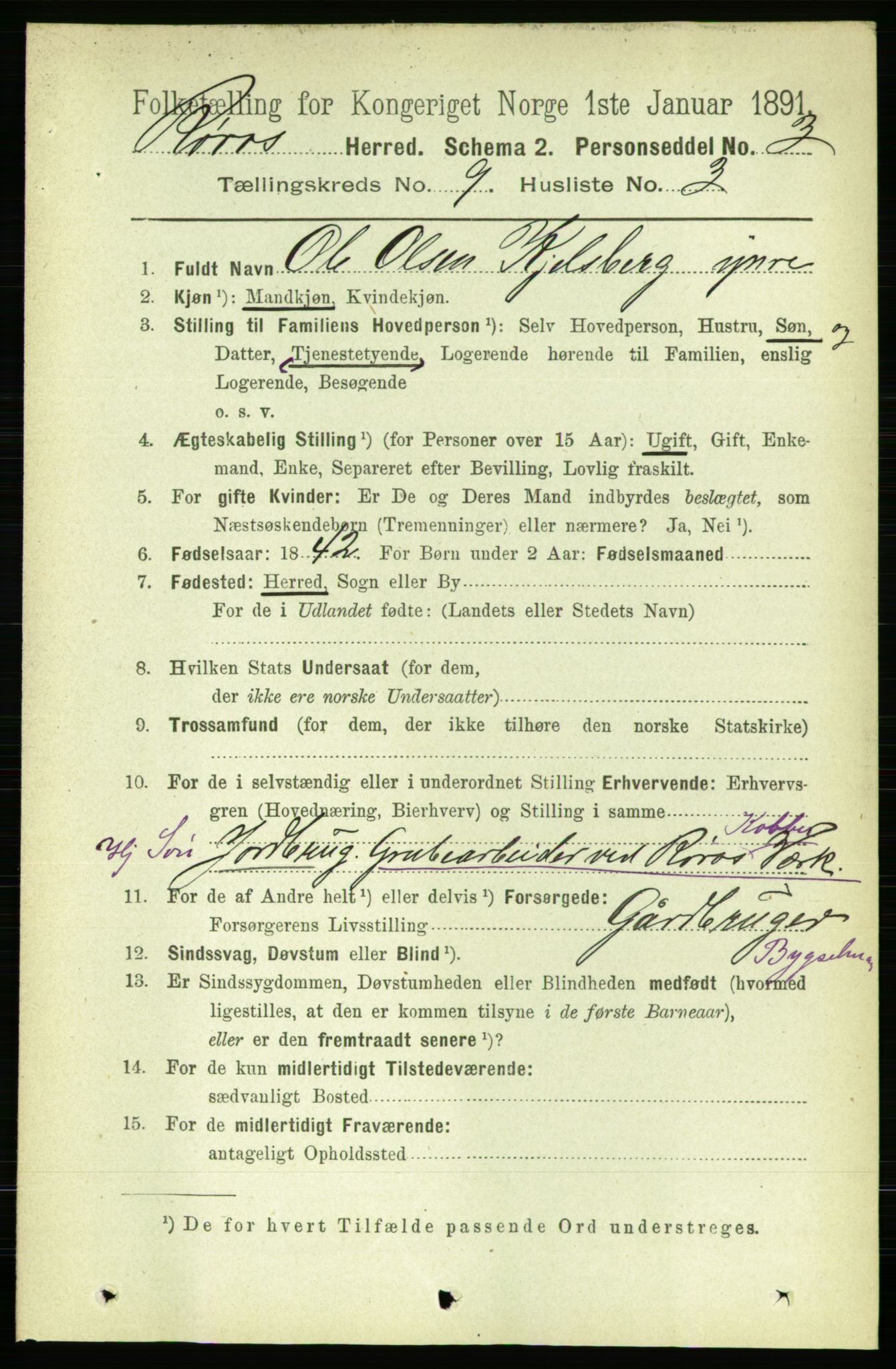 RA, 1891 census for 1640 Røros, 1891, p. 1829