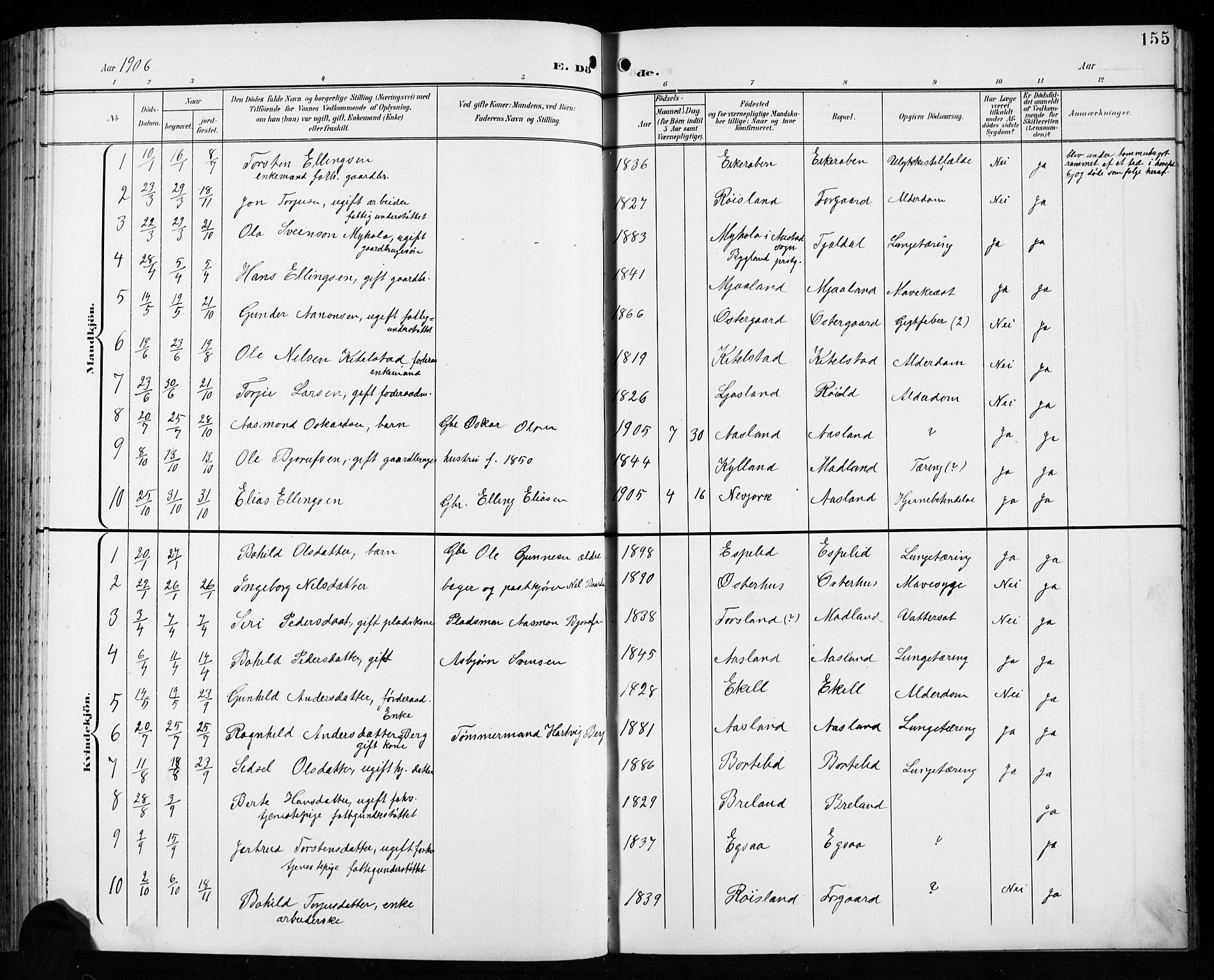 Åseral sokneprestkontor, SAK/1111-0051/F/Fb/L0003: Parish register (copy) no. B 3, 1900-1919, p. 155