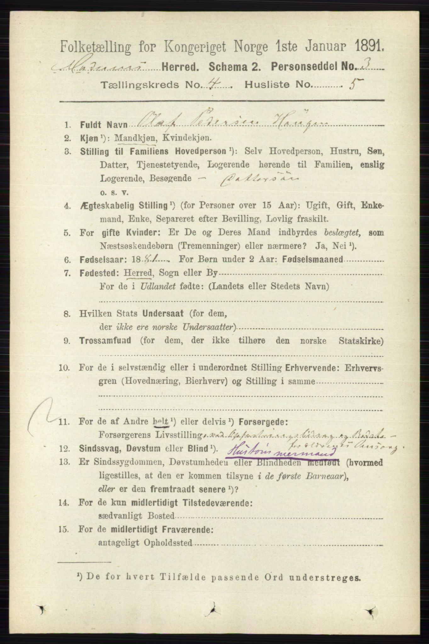 RA, 1891 census for 0623 Modum, 1891, p. 1017