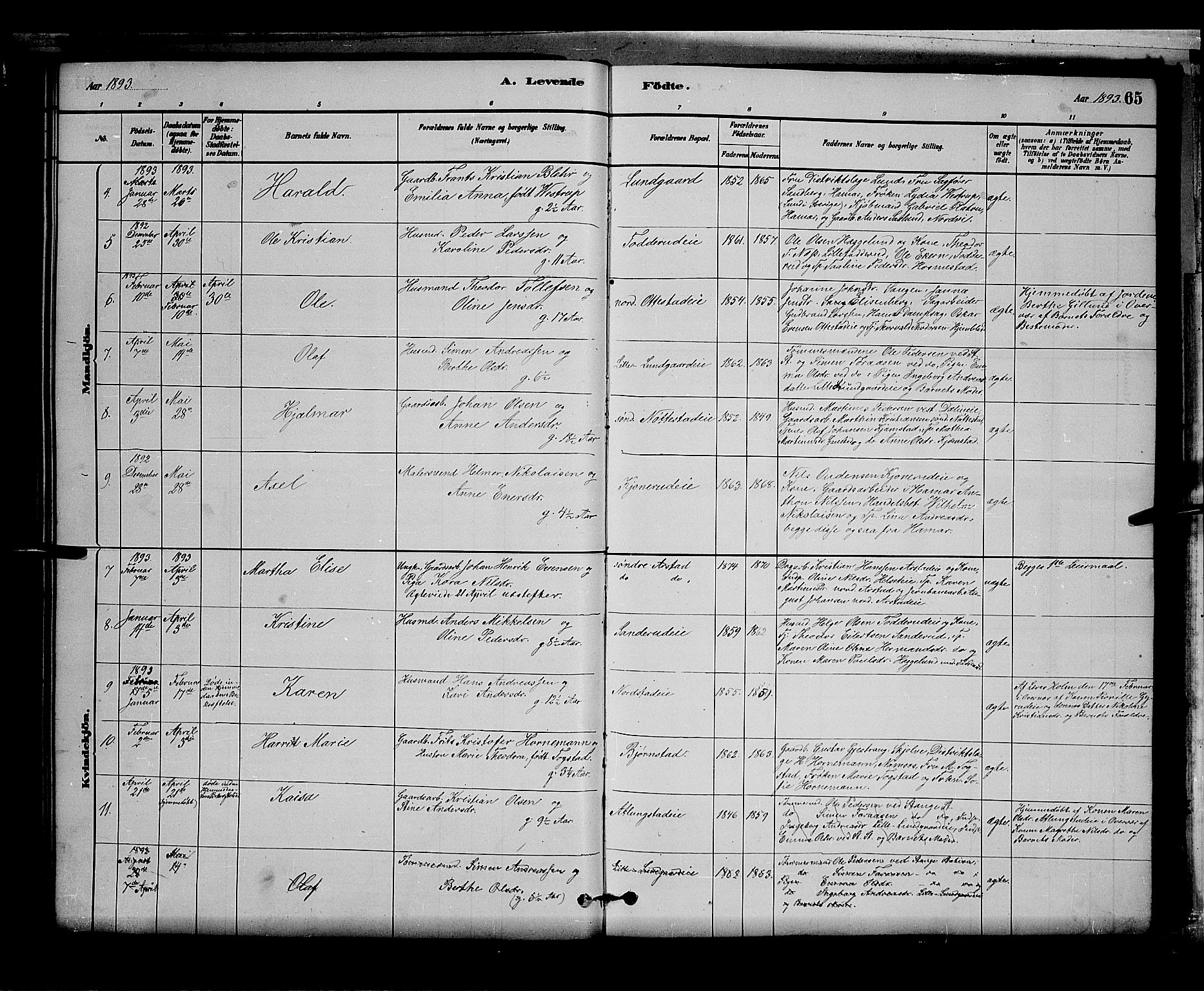 Stange prestekontor, AV/SAH-PREST-002/L/L0007: Parish register (copy) no. 7, 1880-1893, p. 65