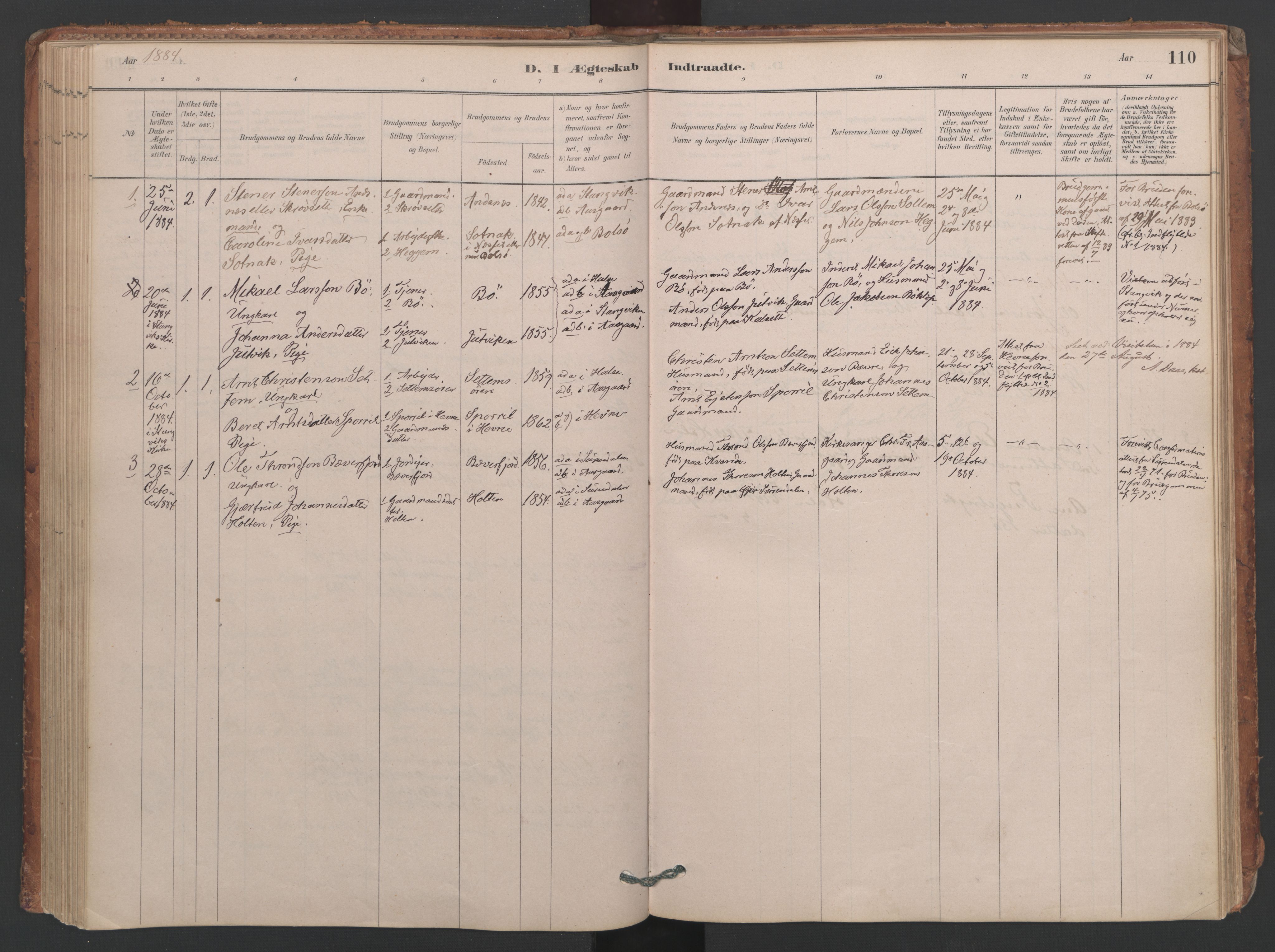 Ministerialprotokoller, klokkerbøker og fødselsregistre - Møre og Romsdal, AV/SAT-A-1454/594/L1036: Parish register (official) no. 594A02 (?), 1879-1910, p. 110