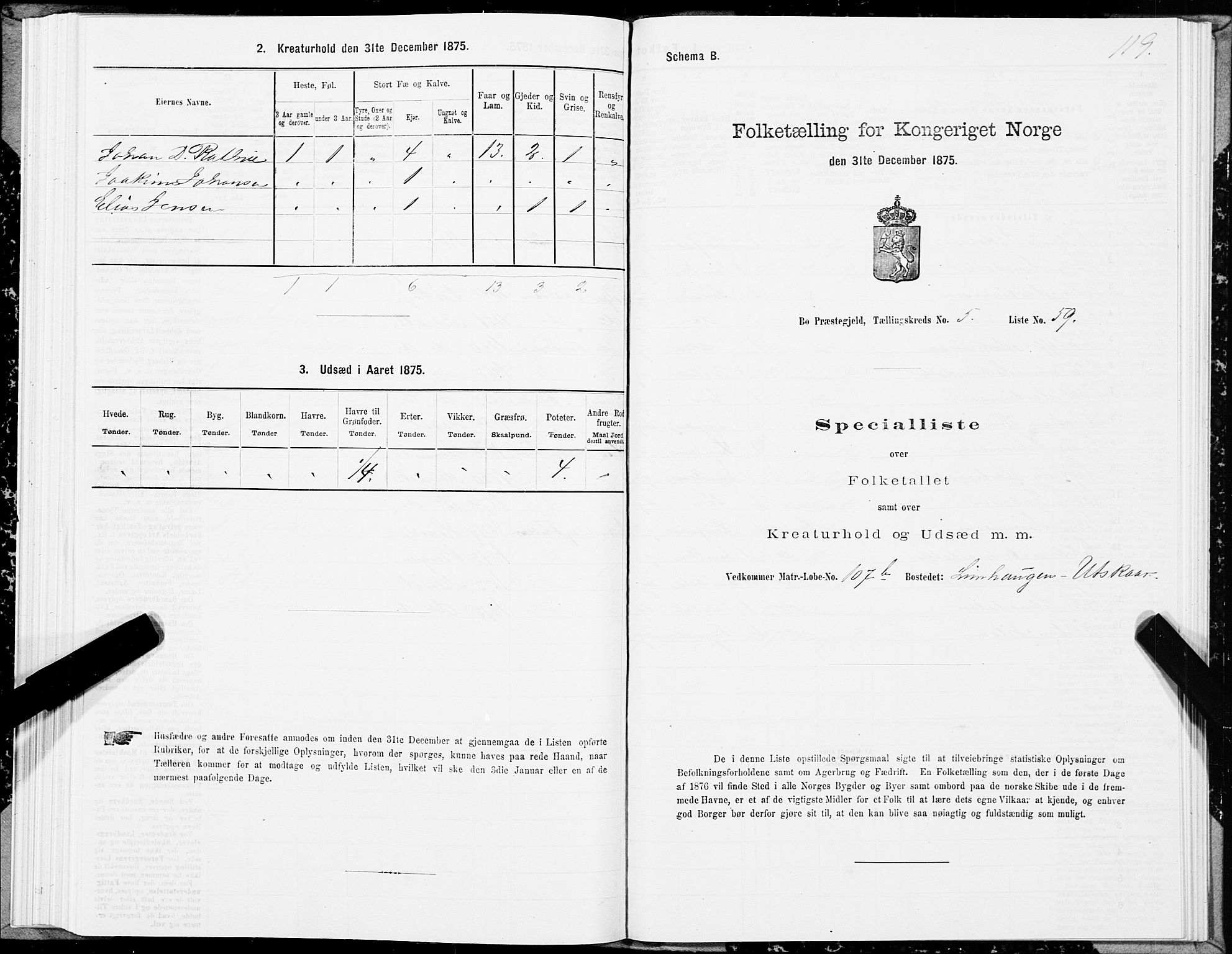 SAT, 1875 census for 1867P Bø, 1875, p. 3119