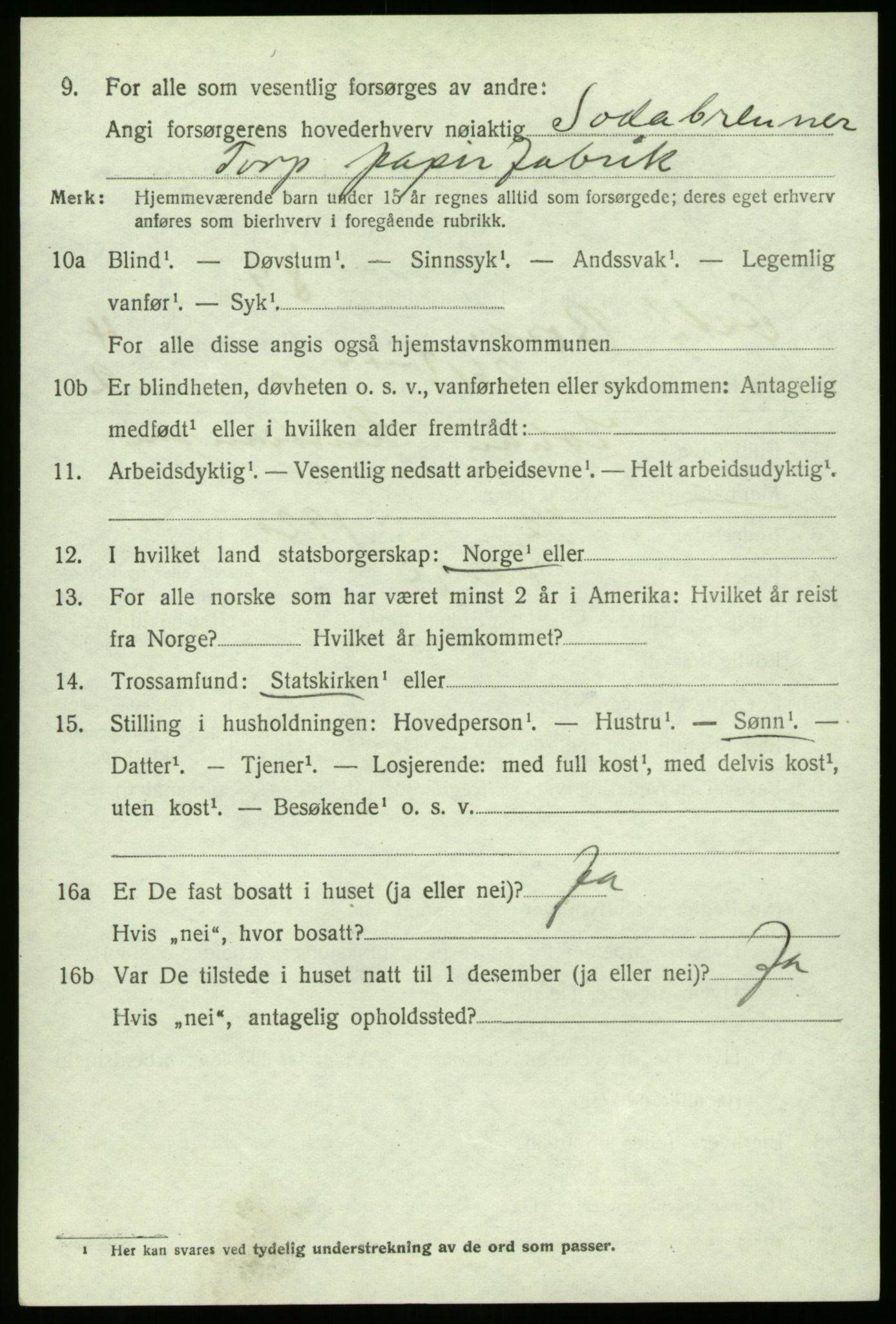 SAO, 1920 census for Borge, 1920, p. 11248