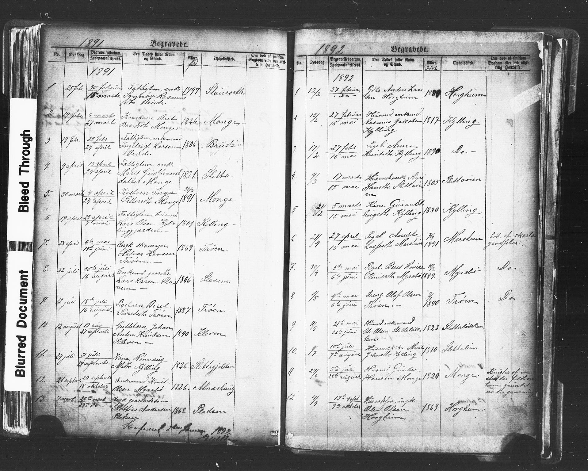 Ministerialprotokoller, klokkerbøker og fødselsregistre - Møre og Romsdal, SAT/A-1454/546/L0596: Parish register (copy) no. 546C02, 1867-1921, p. 248