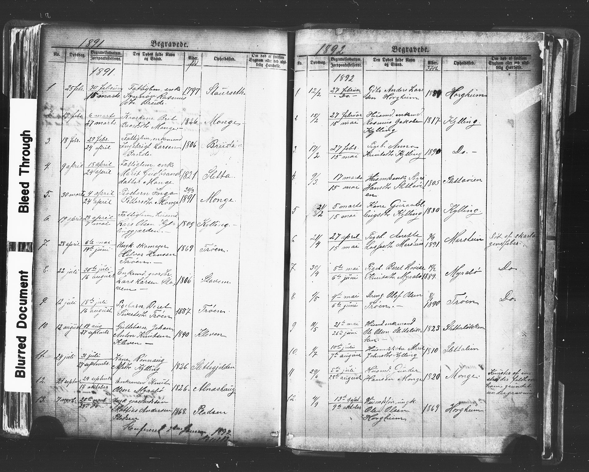 Ministerialprotokoller, klokkerbøker og fødselsregistre - Møre og Romsdal, AV/SAT-A-1454/546/L0596: Parish register (copy) no. 546C02, 1867-1921, p. 248