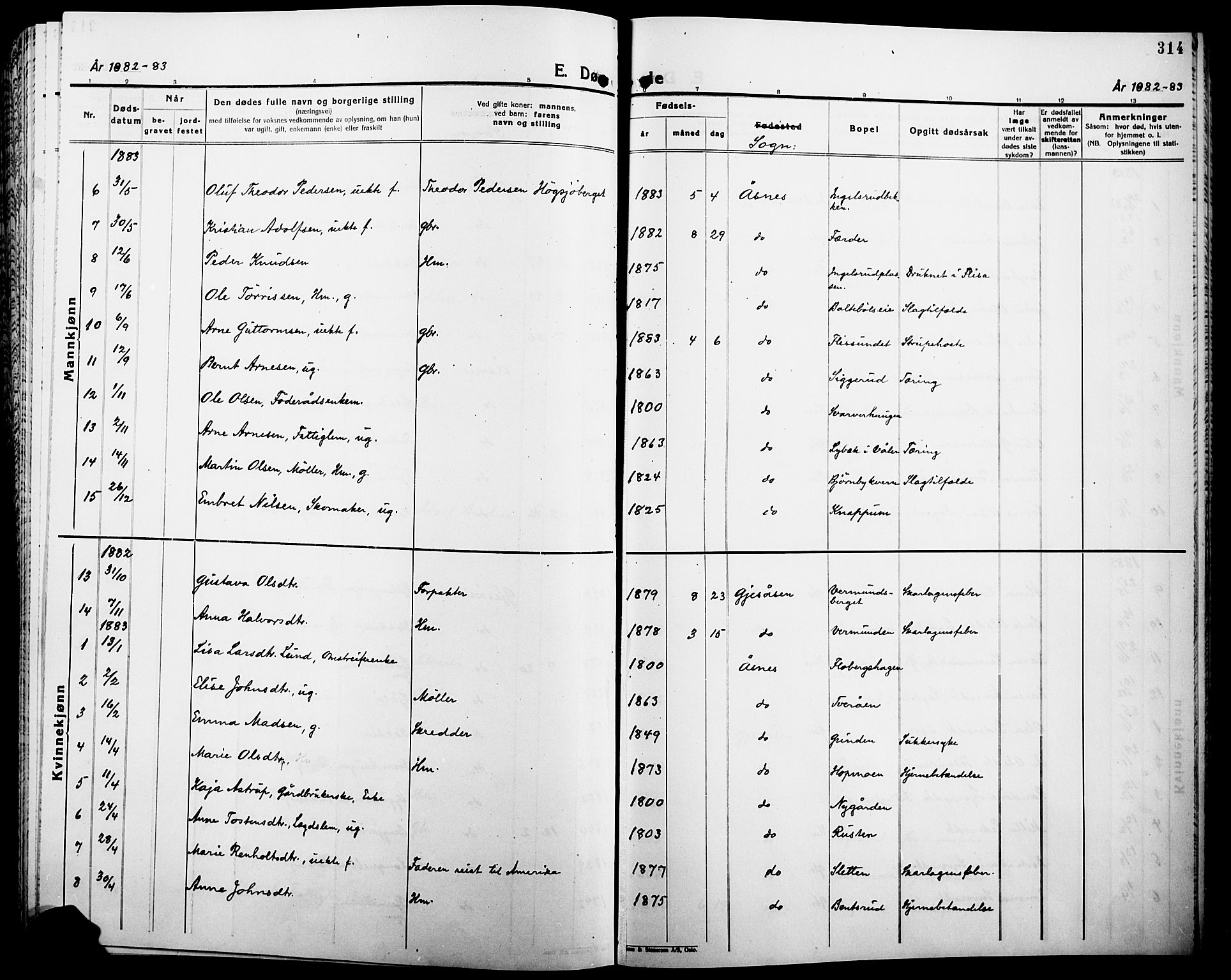 Åsnes prestekontor, AV/SAH-PREST-042/H/Ha/Haa/L0000B: Parish register (official), 1870-1889, p. 314