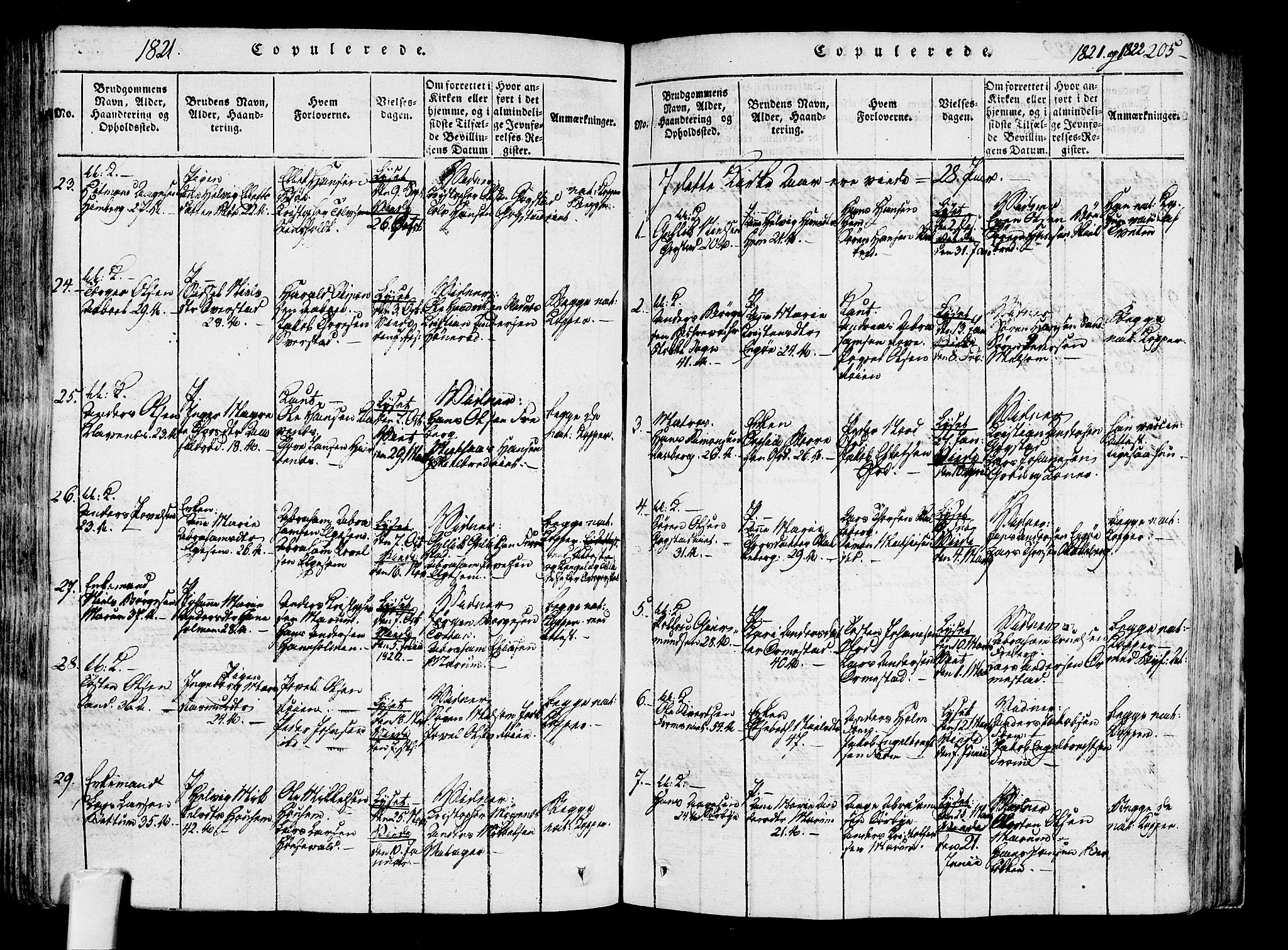 Sandar kirkebøker, SAKO/A-243/F/Fa/L0004: Parish register (official) no. 4, 1814-1832, p. 205