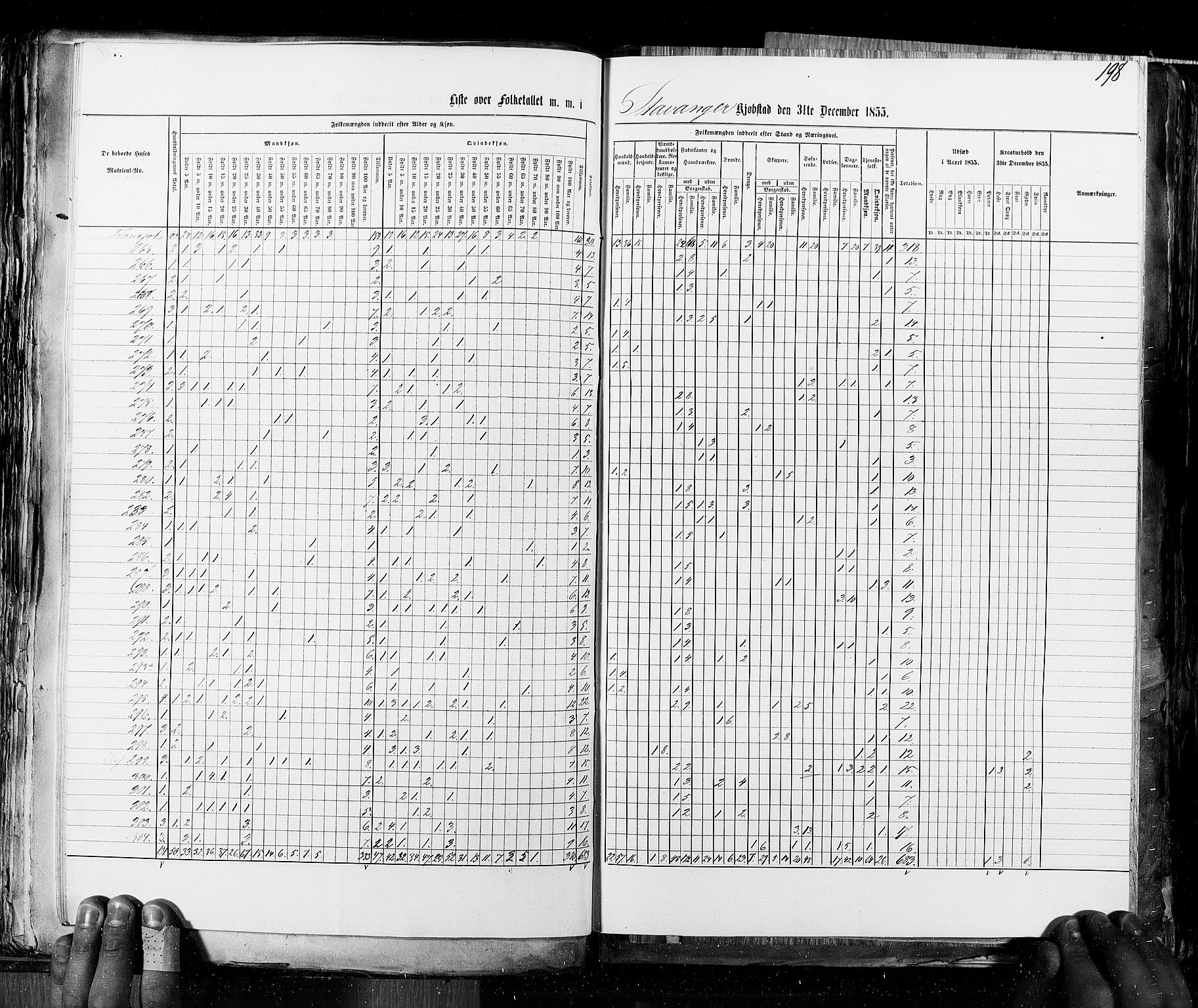 RA, Census 1855, vol. 8: Risør-Vadsø, 1855, p. 198