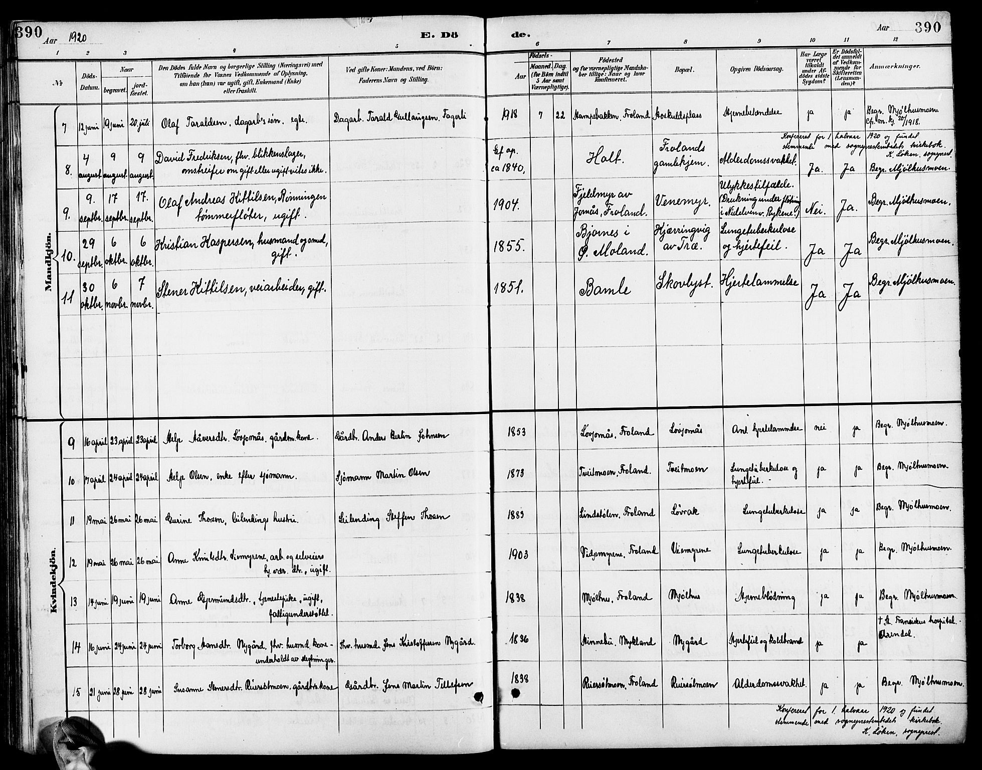 Froland sokneprestkontor, AV/SAK-1111-0013/F/Fb/L0010: Parish register (copy) no. B 10, 1893-1920, p. 390