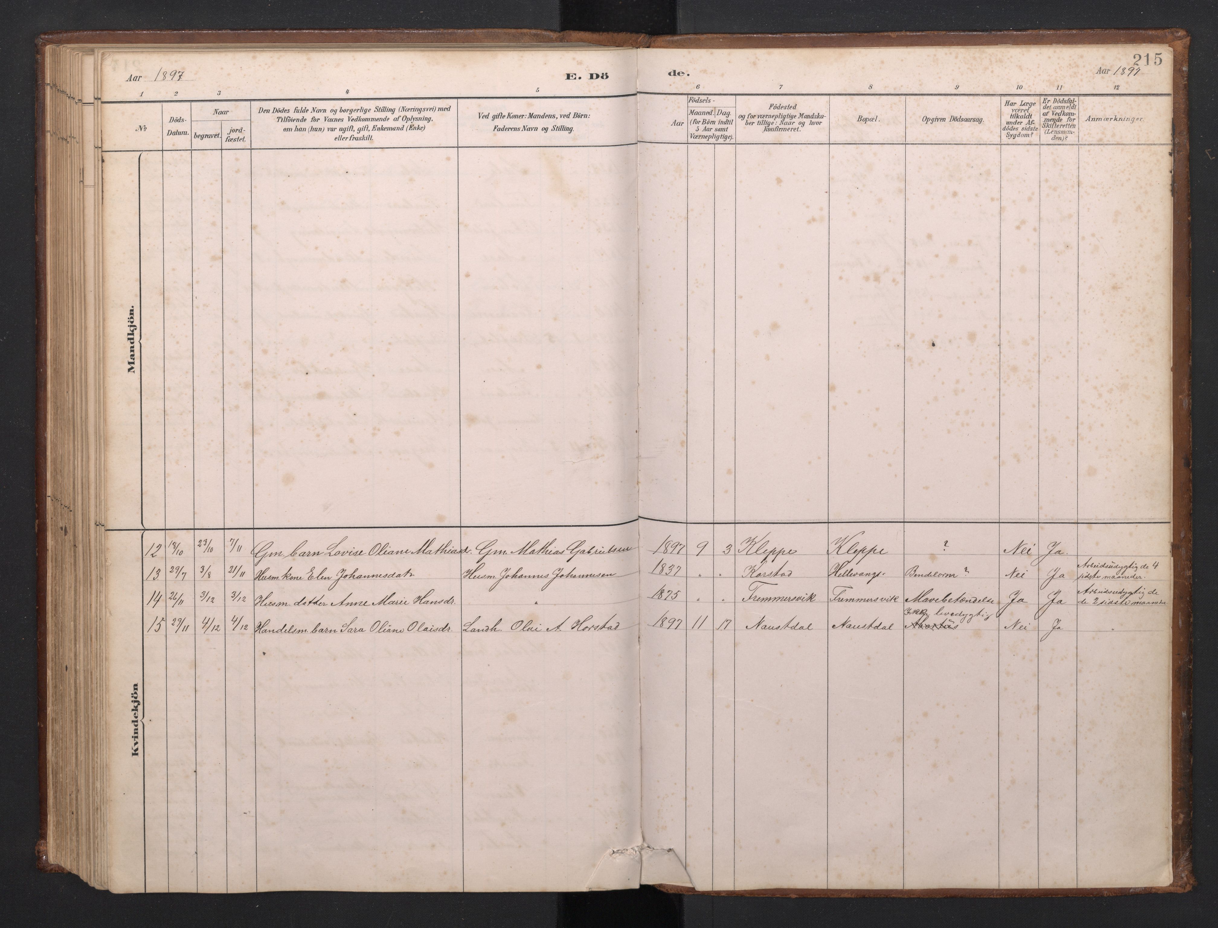 Førde sokneprestembete, SAB/A-79901/H/Hab/Habd/L0003: Parish register (copy) no. D 3, 1881-1897, p. 214b-215a