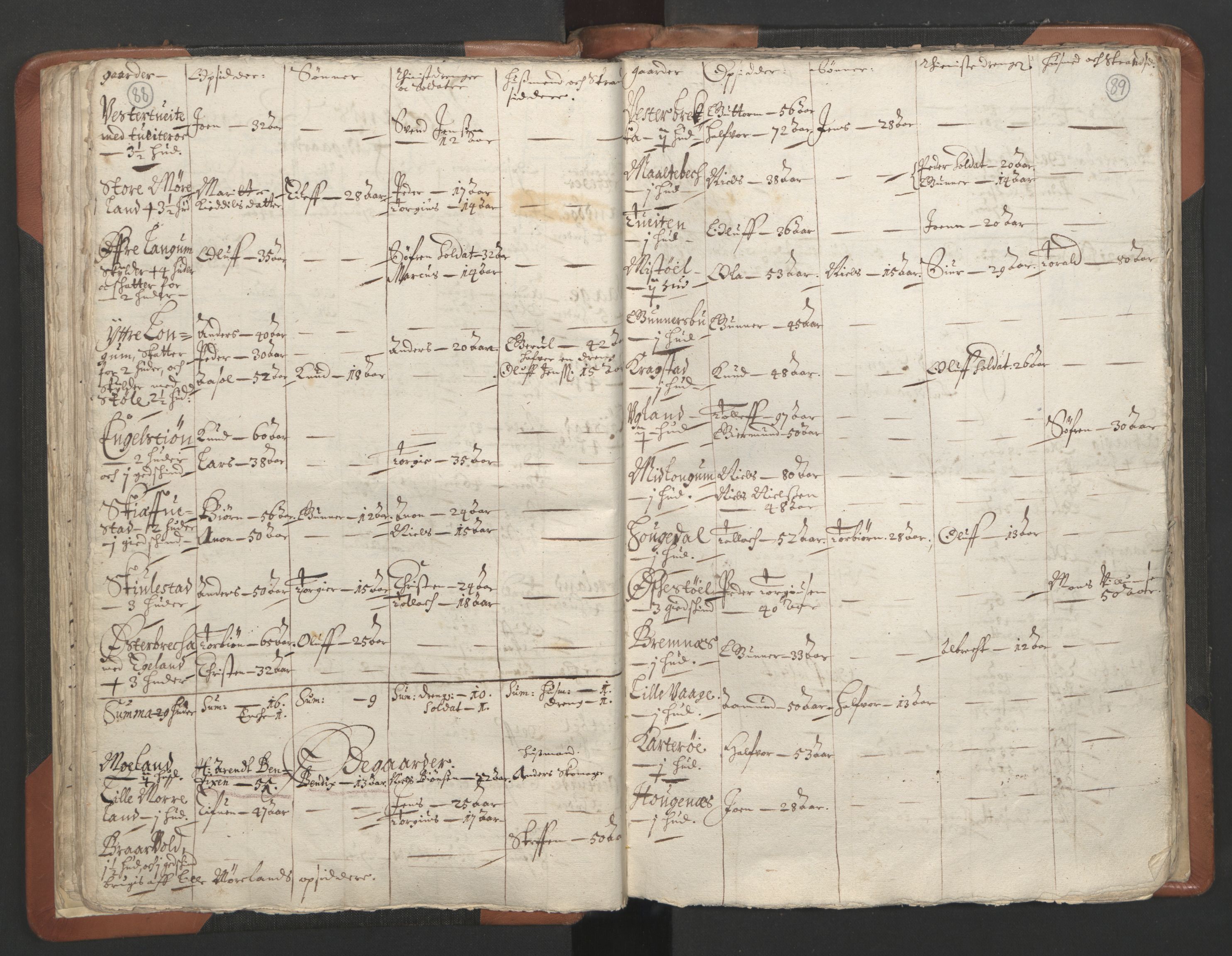 RA, Vicar's Census 1664-1666, no. 13: Nedenes deanery, 1664-1666, p. 88-89