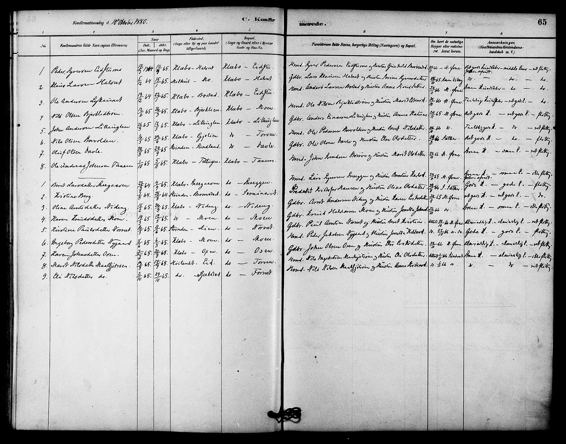 Ministerialprotokoller, klokkerbøker og fødselsregistre - Sør-Trøndelag, AV/SAT-A-1456/618/L0444: Parish register (official) no. 618A07, 1880-1898, p. 65