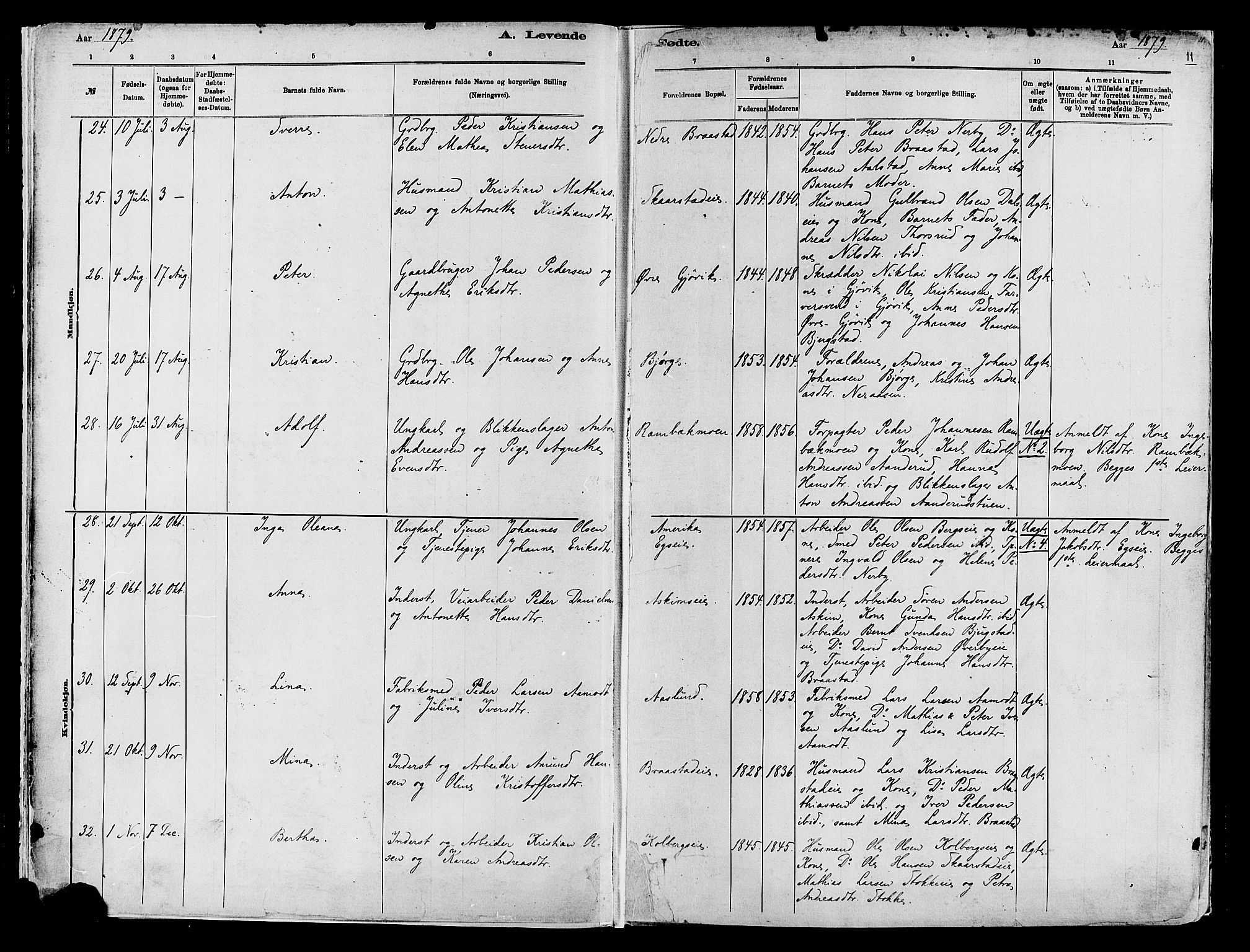 Vardal prestekontor, AV/SAH-PREST-100/H/Ha/Haa/L0009: Parish register (official) no. 9, 1878-1892, p. 11