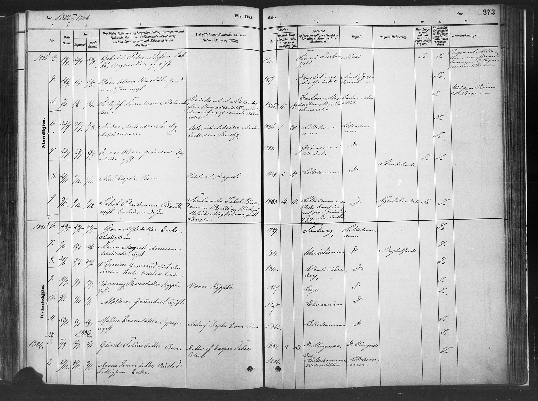 Fåberg prestekontor, SAH/PREST-086/H/Ha/Haa/L0010: Parish register (official) no. 10, 1879-1900, p. 273