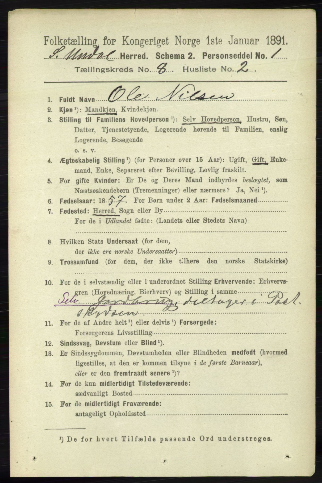 RA, 1891 census for 1029 Sør-Audnedal, 1891, p. 3115